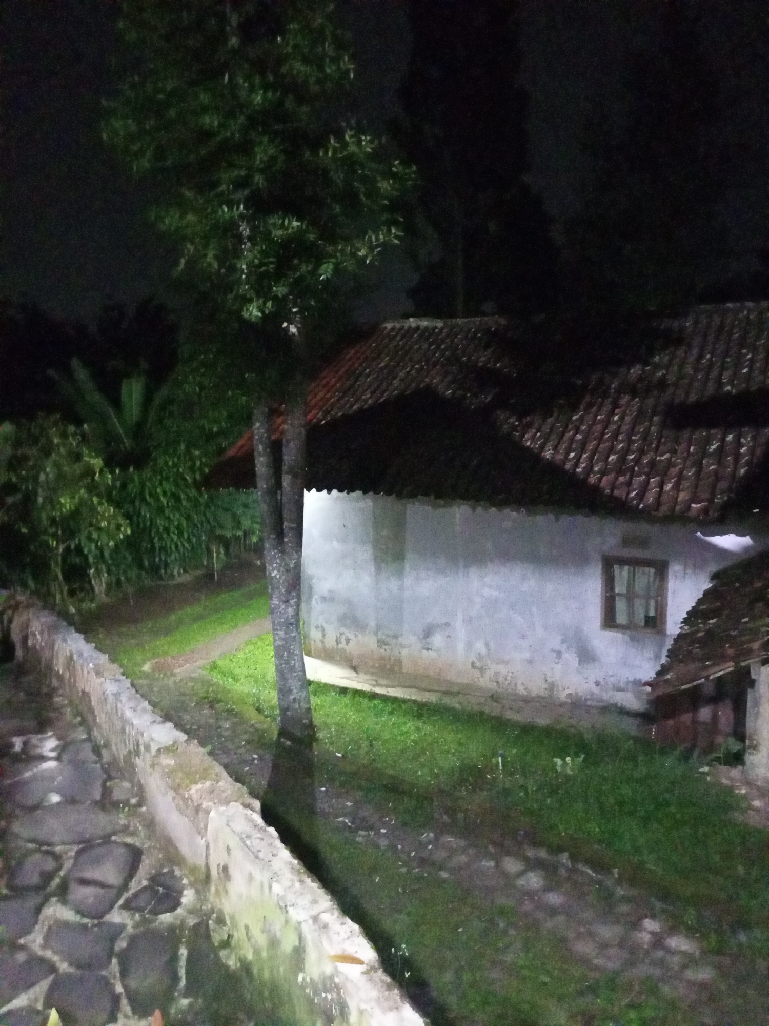 The image depicts a rural nighttime scene in Cidahu, Indonesia. A white, weathered house with a terracotta tiled roof is visible on the right. The house has a small, dark-framed window. In front of the house, a patch of grass slopes downwards. To the left of the house, a pathway made of dark, irregular stones is bordered by a low, moss-covered stone wall. Lush green vegetation, including trees and large-leafed plants, surrounds the area. The lighting suggests it is dark, with some ambient light illuminating the scene. No people are present.