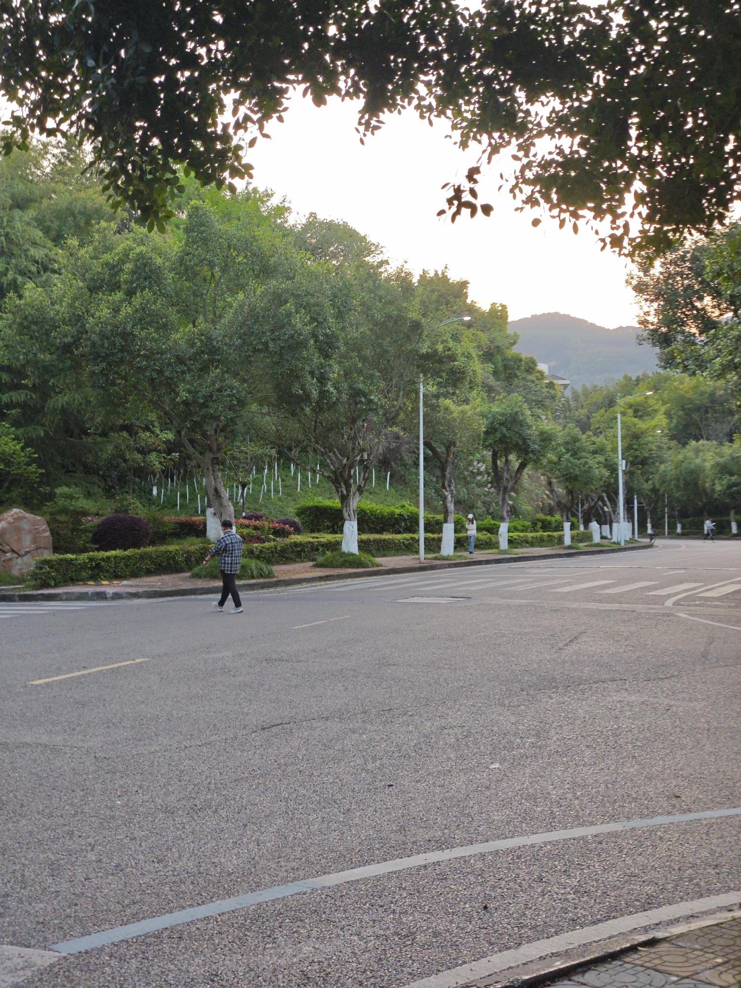 The image depicts a street scene in the Chongqing High-tech Zone, China. The scene includes a wide asphalt road with pedestrian crossings. A person is walking across the road. Landscaped areas with trees and bushes line the side of the road, and there are streetlights along the sidewalk. In the background, a hill is visible under a slightly overcast sky. Branches of a tree frame the top of the image.