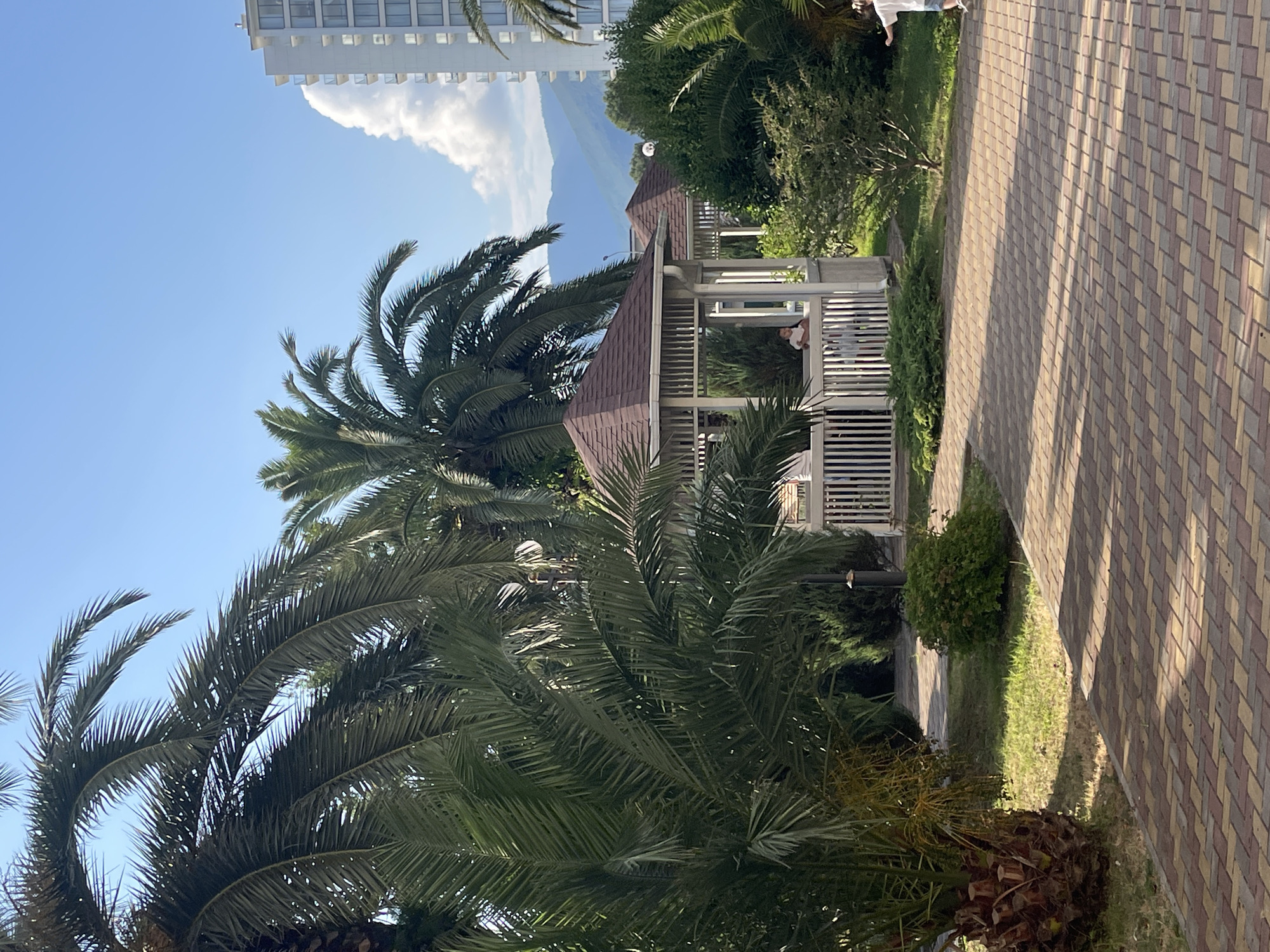 The image depicts a sunny outdoor scene in Gagra, Abkhazia. In the foreground, a paved walkway made of brick pavers leads diagonally into the frame from the bottom right. To the left of the walkway, a large palm tree with a textured trunk is visible, with its fronds arching over the path.
Further into the scene, a white gazebo with a brown roof stands prominently. Inside the gazebo, a person, possibly a child, is seated. Behind the gazebo, more lush green foliage and trees create a dense natural backdrop.
In the distance, a modern high-rise building with many balconies is visible on the right side of the image, contrasting with the natural elements. Behind the building and the greenery, a range of hazy blue mountains form the horizon under a clear blue sky with a few scattered white clouds. The overall atmosphere is serene and tropical.
