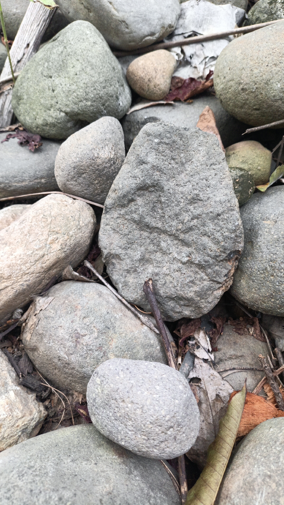 The image shows a close-up view of a collection of smooth, rounded river stones of varying sizes and colors, ranging from light grey and tan to green and brown. Some of the stones are partially covered by dry leaves and small twigs, suggesting an outdoor environment. The lighting is natural and diffused, creating soft shadows. The image is a static shot, focusing entirely on the texture and arrangement of the stones. No people or animals are visible. The location in the city of Palohlada, Indonesia is not discernible from the visual information presented in the image.