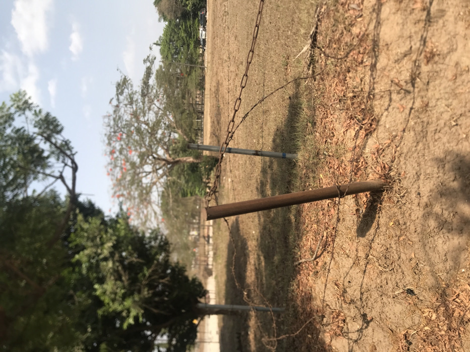 This image depicts a sunny outdoor scene, likely an open field or plot of land, characterized by dry conditions. The perspective is slightly angled, focusing on a rudimentary fence line in the foreground and mid-ground.
Two metal fence posts are visible: the closest one on the right is a rusty, brown pipe, while another further back and to the left is a grey post with a band of blue tape near its base. A rusted metal chain is strung between these posts, and several strands of barbed wire are also visible, either attached to the posts or lying on the dry ground.
The ground itself is composed of light brown, dry earth with sparse patches of light green grass and numerous scattered dry leaves, suggesting arid or dry season conditions. Long shadows stretch across the ground from the fence posts and possibly other unseen elements, indicating either an early morning or late afternoon sun.
In the mid-ground and background, a variety of trees with green foliage are present. One prominent tree in the mid-left features striking red or orange blossoms, possibly a Flamboyant or Royal Poinciana. The sky above is a clear, light blue with some wispy white clouds. In the far background, hints of distant structures or vehicles can be seen through the tree line.
The scene conveys a sense of quiet and stillness, with no people or specific activities occurring. The overall impression is one of a sun-drenched, somewhat rustic landscape under clear weather conditions. This setting is located in Umudike, Nigeria. There is no visible text in the image.