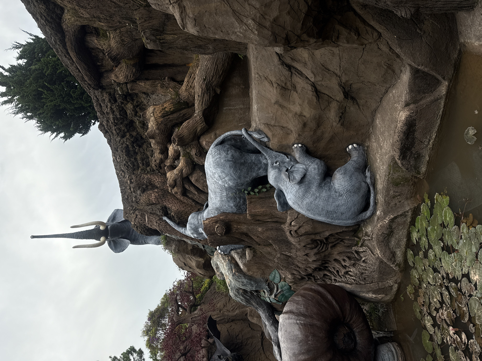 This image captures a playful scene featuring elephant sculptures integrated into a naturalistic rock and tree root environment, likely part of a park or attraction in Da Lat, Vietnam. The main subjects are several life-sized or larger-than-life elephant sculptures, depicted in various poses. One prominent sculpture of an adult elephant emerges from the rock face, its head and trunk extended downwards, suggesting it might be interacting with something below. Below it, two baby elephant sculptures are nestled against the rocky terrain and tree roots. One baby elephant is lying on its back with its legs in the air, while another is positioned as if playing or resting.
The setting is characterized by rough, textured rock formations that mimic a natural cliff face, interwoven with oversized, gnarled tree roots. A small body of water with lily pads is visible at the bottom right of the frame, reflecting the muted light. The overall impression is one of a whimsical and artistic display designed to evoke a sense of wonder and interaction with nature. The sky is overcast, suggesting a cloudy or possibly rainy day, and the lighting is diffused, casting soft shadows. The scene is oriented vertically, with the sky at the top and the water at the bottom, giving a sense of depth and scale. There is no visible text in the image.