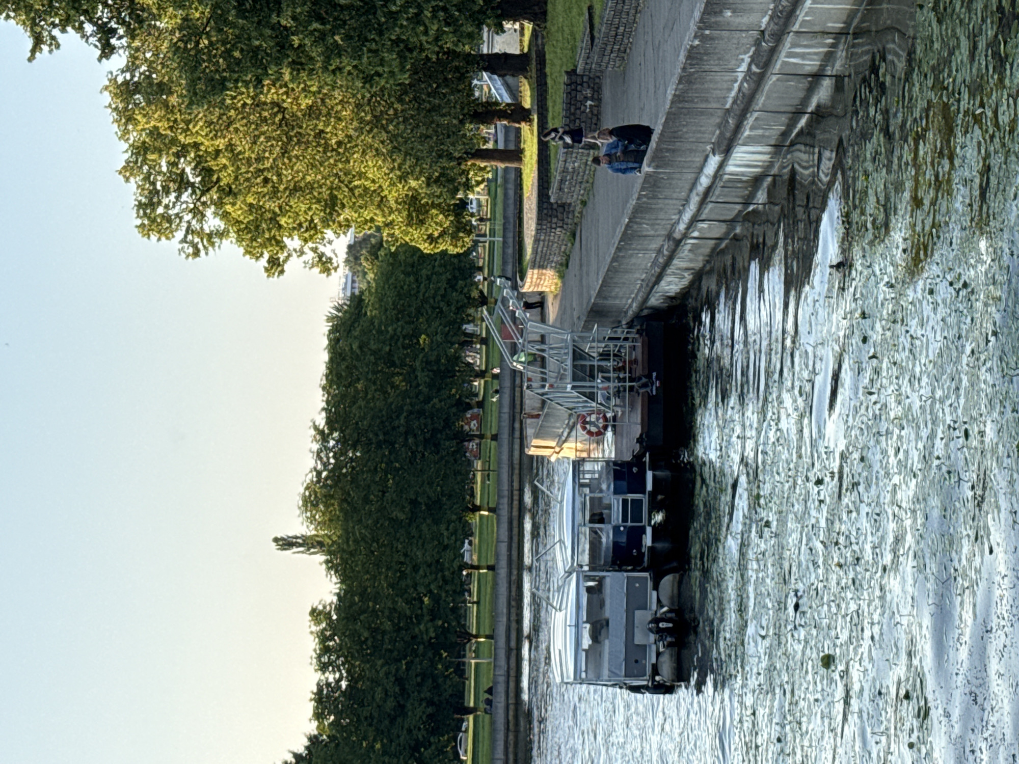 The image shows a serene waterfront scene in Kaliningrad, Russia, likely along the Pregolya River or one of its canals. Two modern, white and blue pontoons are docked side-by-side, their sleek design contrasting with the natural setting. Lily pads cover the water's surface, creating a textured mosaic. A concrete embankment lines the water, providing a walkway for pedestrians. Several people are visible along the walkway, some strolling, others engaged in conversation, enjoying the warm, late afternoon sun. Lush green trees form a dense backdrop, their leaves rustling in the gentle breeze. The sky is a clear, pale blue, suggesting a pleasant day. The overall impression is one of tranquility and urban leisure.