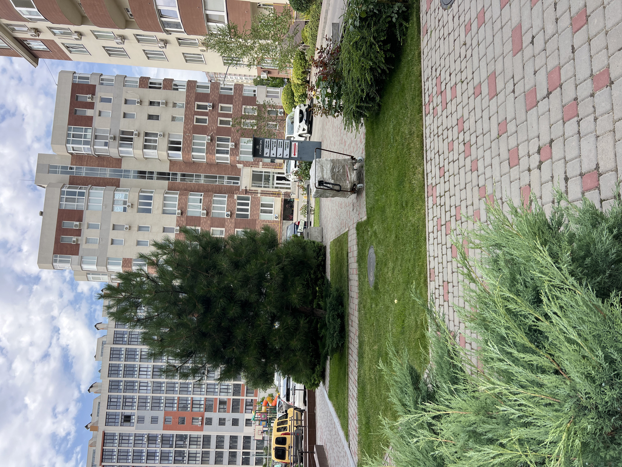 A tall evergreen tree stands in the center of a paved courtyard with a lawn. Residential buildings with red brick and light-colored facades, featuring numerous windows and air conditioning units, surround the courtyard. A yellow van and several cars are parked in the background. A metal cart with a wrapped object sits on the pavement. The sky is cloudy. This image was taken in Kryzhanivka, Ukraine.