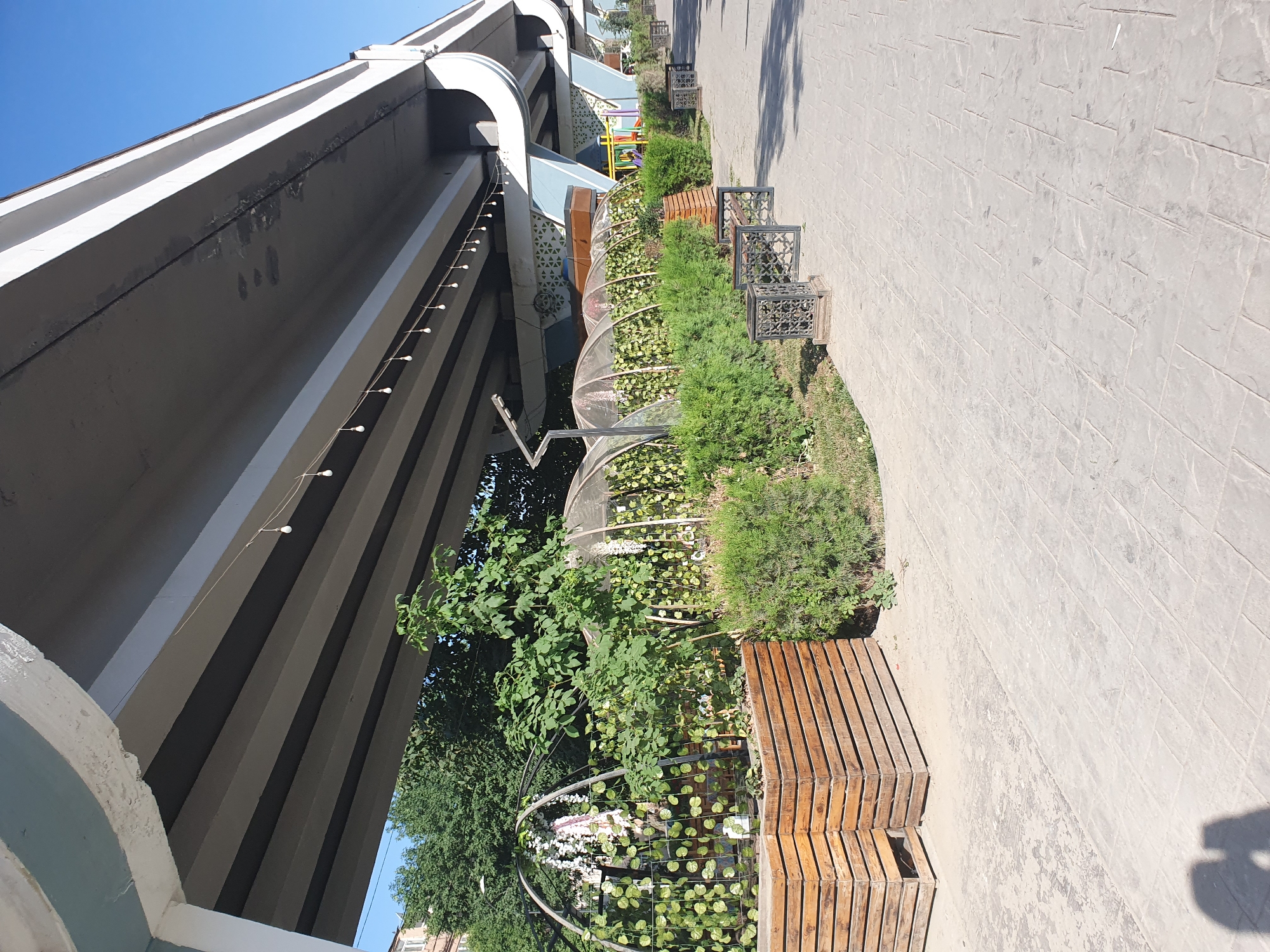 The image depicts an outdoor seating area beneath an elevated highway structure in Tashkent, Uzbekistan. The area is furnished with several benches and planters filled with greenery. The highway overhead is a substantial concrete structure, with visible support beams and lighting fixtures strung across its underside. The ground is paved with interlocking stone tiles. To the left, there are several arched structures covered with netting and adorned with plants, suggesting a garden or cafe setup. The overall impression is one of urban infrastructure coexisting with a recreational space.