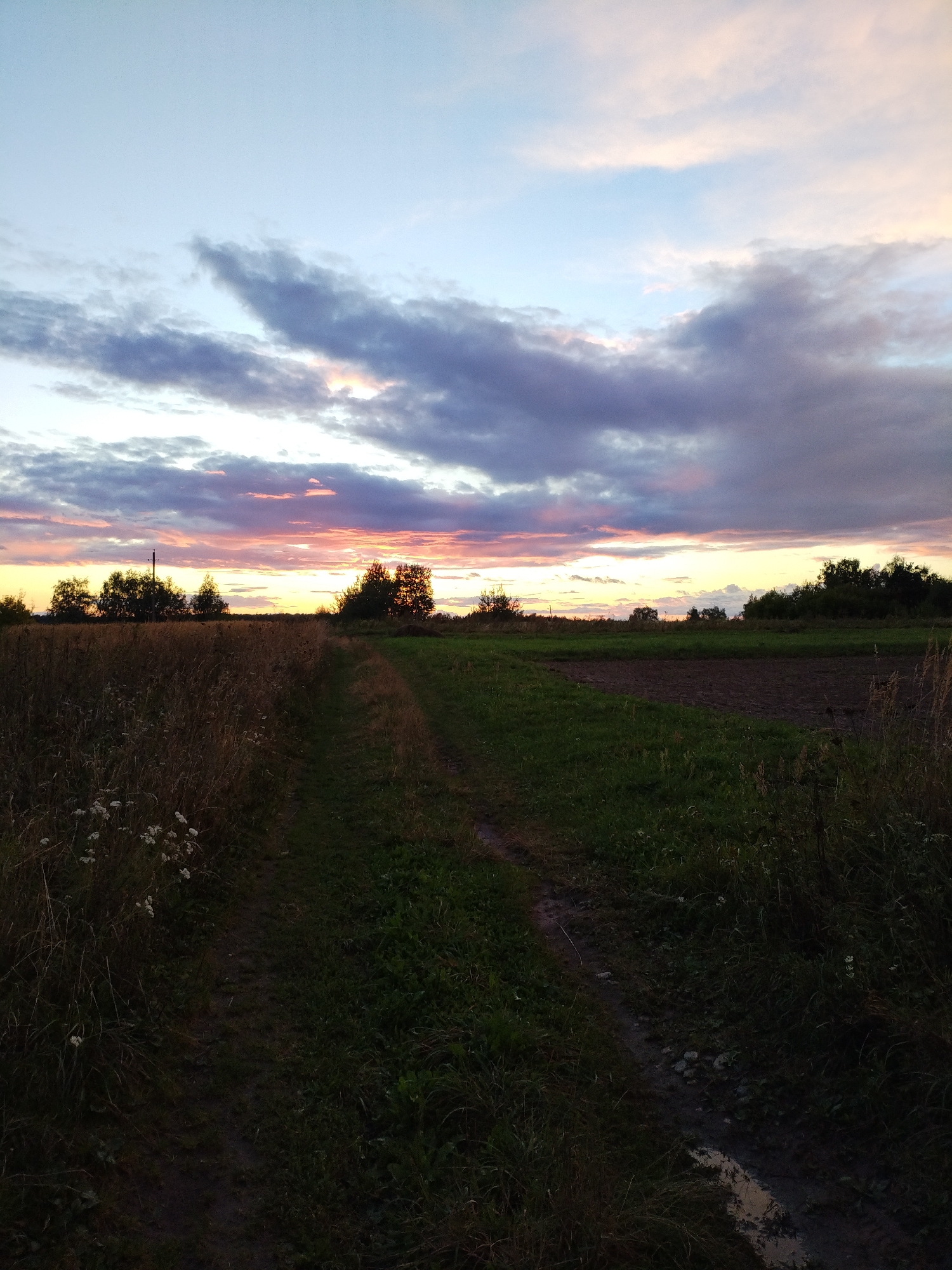 A dirt path winds through a field at dusk in Bialynichy, Belarus. The path is bordered by dry, tall grass on the left and greener grass on the right. In the distance, a treeline forms the horizon under a dramatic sky. The sky displays hues of blue, pink, and purple, with clouds illuminated by the setting sun. A cultivated field is visible to the right of the path. No people are present in the image.