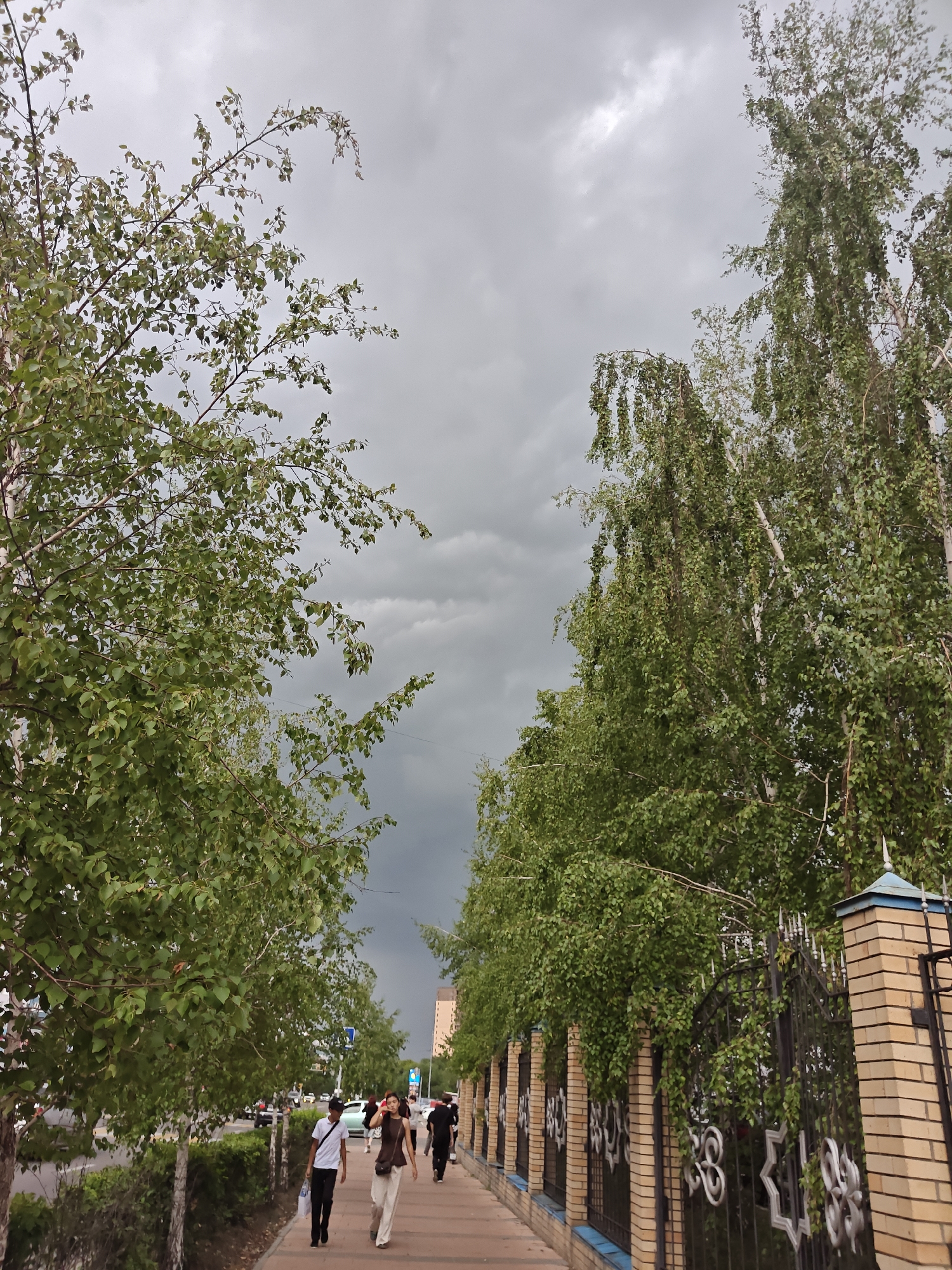 The image depicts a pedestrian walkway on a cloudy day in the city of Petropavl, Kazakhstan. On the right side of the walkway is a fence made of brick pillars and black metal with ornate designs, backed by a line of trees with lush green foliage. On the left side of the walkway, a street with passing cars is visible, bordered by more trees and a dense hedge. Several people are walking on the sidewalk, some are walking towards the camera. The sky is overcast with dark, heavy clouds, suggesting impending rain. A tall building is visible in the distance on the left side of the image.