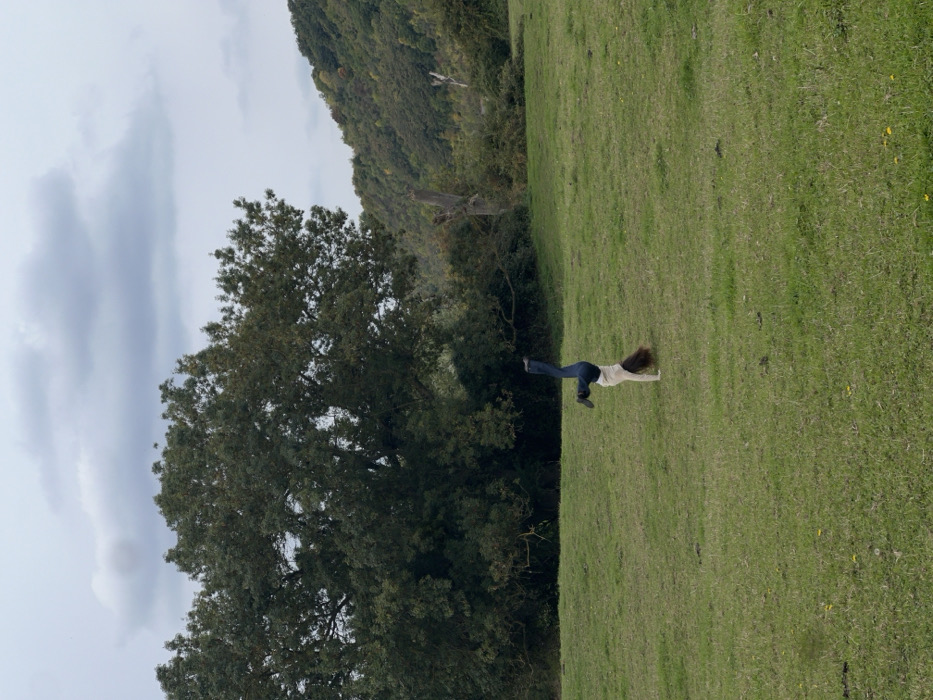 An outdoor scene in Vernon, France, captured under an overcast sky. A single individual is positioned centrally in a large, open grassy field, performing a handstand. The subject is wearing dark blue jeans and a light-colored, long-sleeved top, with long brown hair hanging towards the ground. The immediate environment consists of short green grass with minimal ground cover. In the background, to the left, a mature deciduous tree with dense green foliage is prominent. To the right, a wooded hillside with varying shades of green and some autumnal hues rises, featuring scattered scrub brush and visible dead tree stumps at the field's edge.