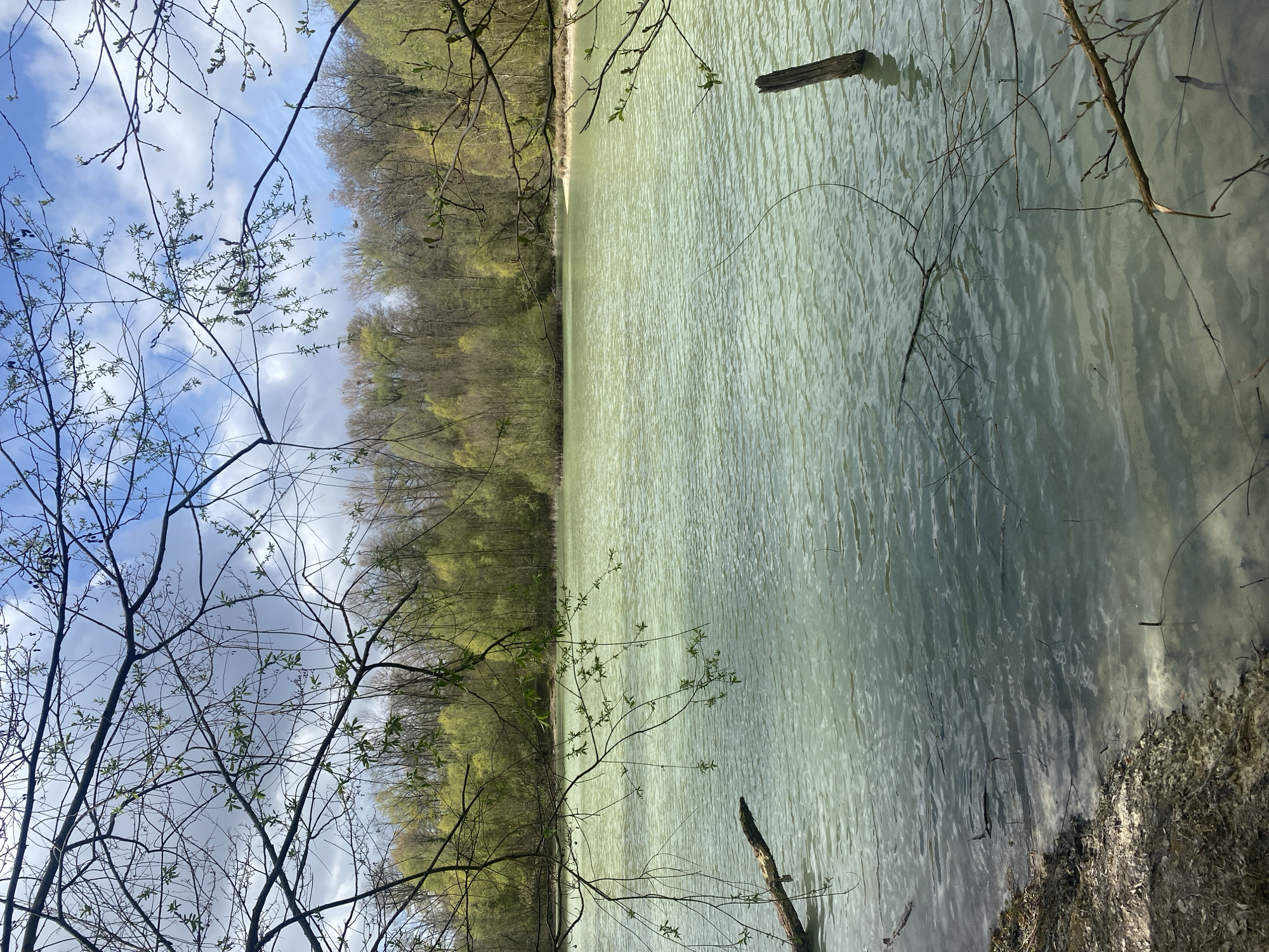 The image shows a body of water, likely a lake or pond, with trees lining the opposite shore. The water appears to be a pale greenish-gray color. The sky is visible through bare branches in the upper left of the frame, showing a mix of blue and clouds. The foreground includes more bare branches and vegetation along the bank. The location is Saint-Martin-du-Tertre, France. A single, weathered wooden post is visible protruding from the water.