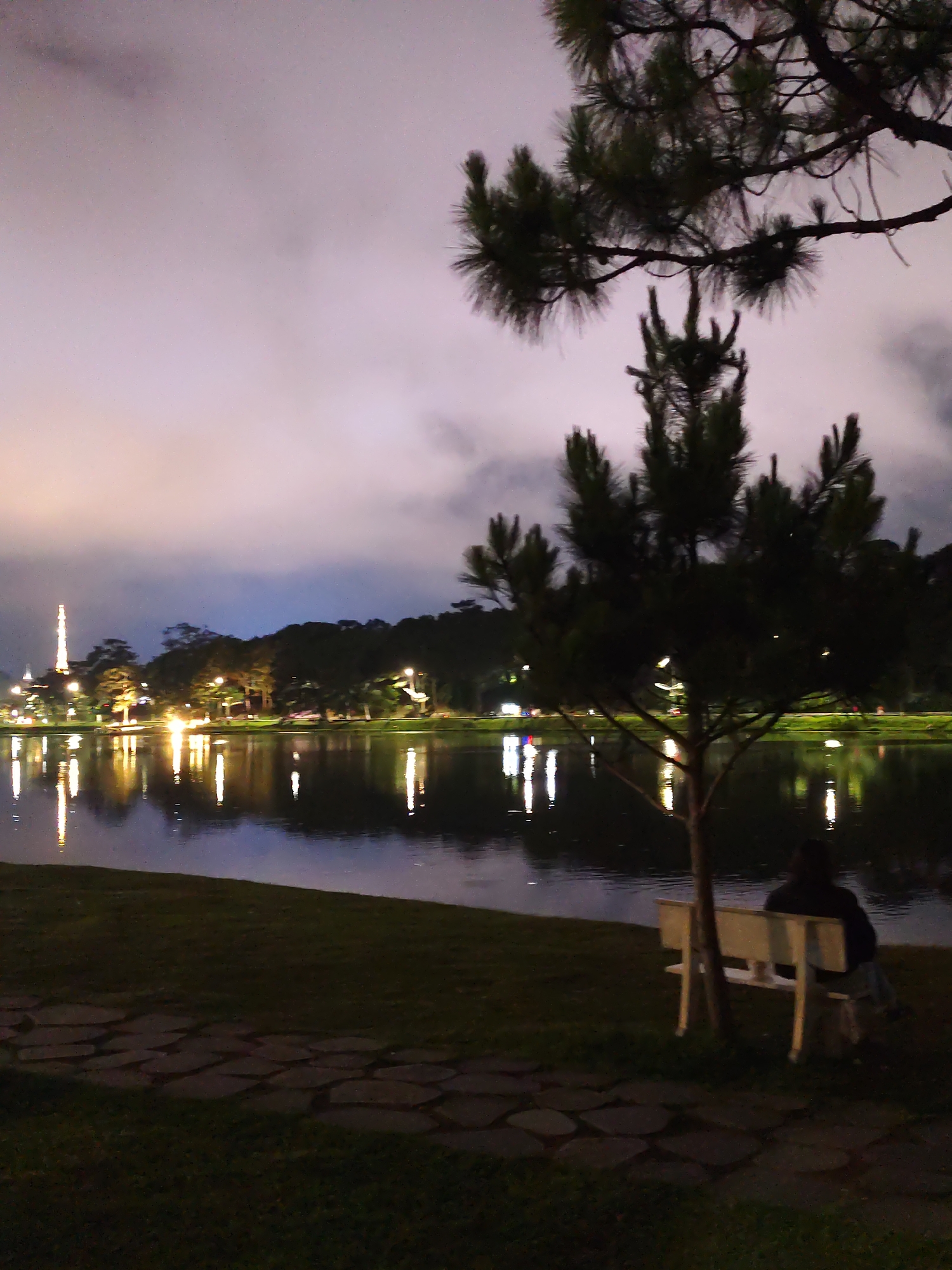 A night scene at Xuan Huong Lake in Da Lat, Vietnam. The lake reflects the lights from the city's buildings and street lamps. A person sits alone on a white bench under a tree. The foreground shows a grassy area with a stone path. The sky is cloudy.