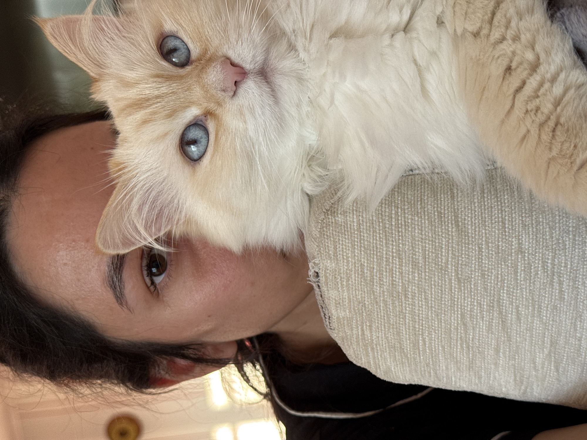The media file is a close-up, vertically oriented photograph of a person and a cat. The person's face is partially visible on the left side of the frame, with their dark hair cascading down. Their eye is open and brown, looking towards the viewer. The cat, with fluffy cream-colored fur and striking blue eyes, is resting on the person's shoulder and head, obscuring a significant portion of their face. The cat's pink nose is also visible. The background consists of a textured, light-colored fabric, possibly part of furniture, and a dark garment worn by the person. The lighting suggests it might be daytime, with a soft glow illuminating the scene. The overall impression is one of intimacy and affection between the person and the cat. There is no visible text in the image.