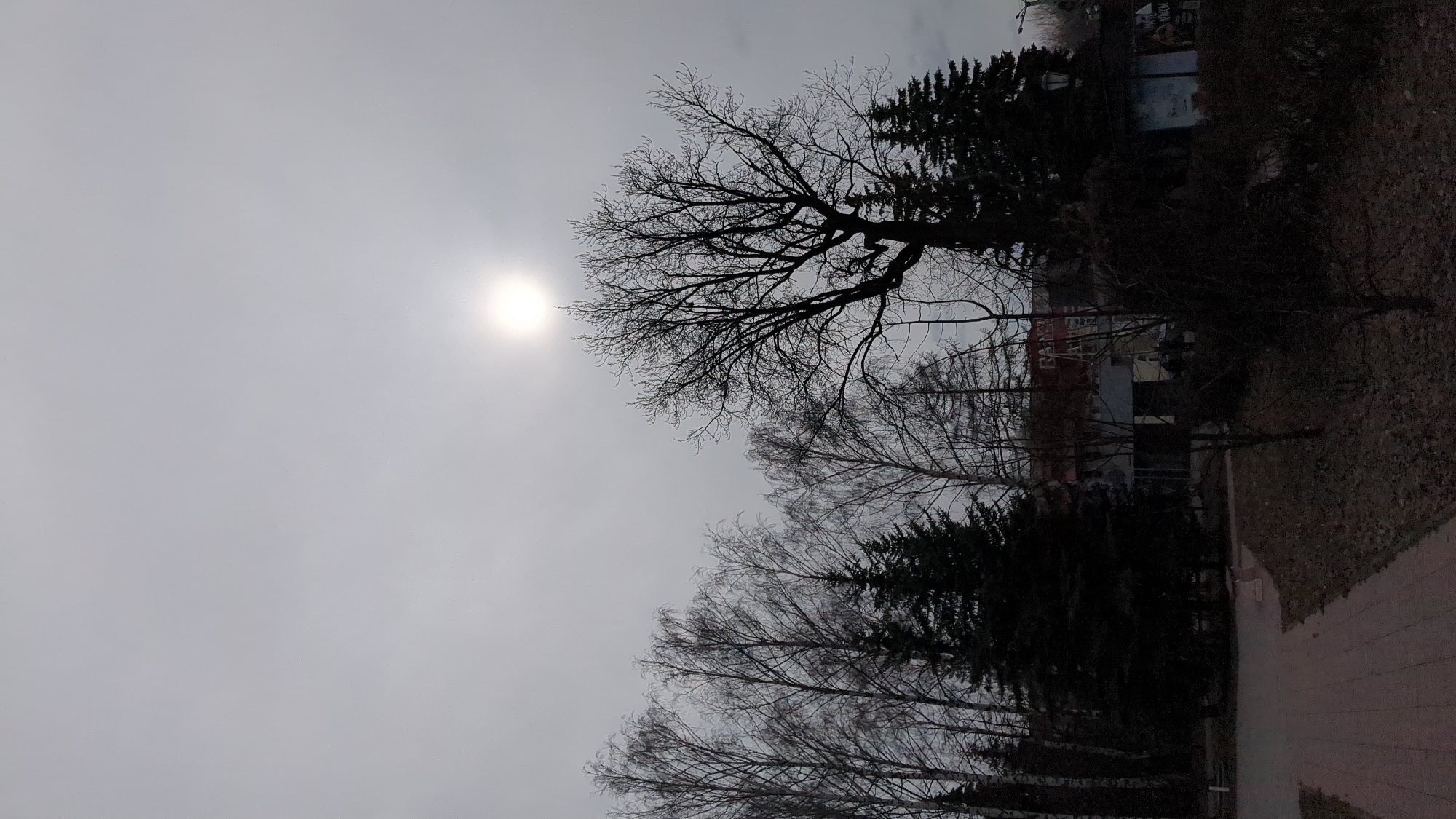 The image presents a landscape in Ulyanovsk, Russia, possibly a park or residential area. The sky is overcast with the sun visible as a bright, diffuse orb. Silhouetted trees dominate the foreground, some bare-branched and others evergreen. There is a low-rise building visible in the background behind a sparse patch of vegetation and trees. The ground shows evidence of late autumn or early winter conditions with fallen leaves and bare patches. A pavement or path is located on the bottom right corner of the image. The atmosphere seems cold and bleak.