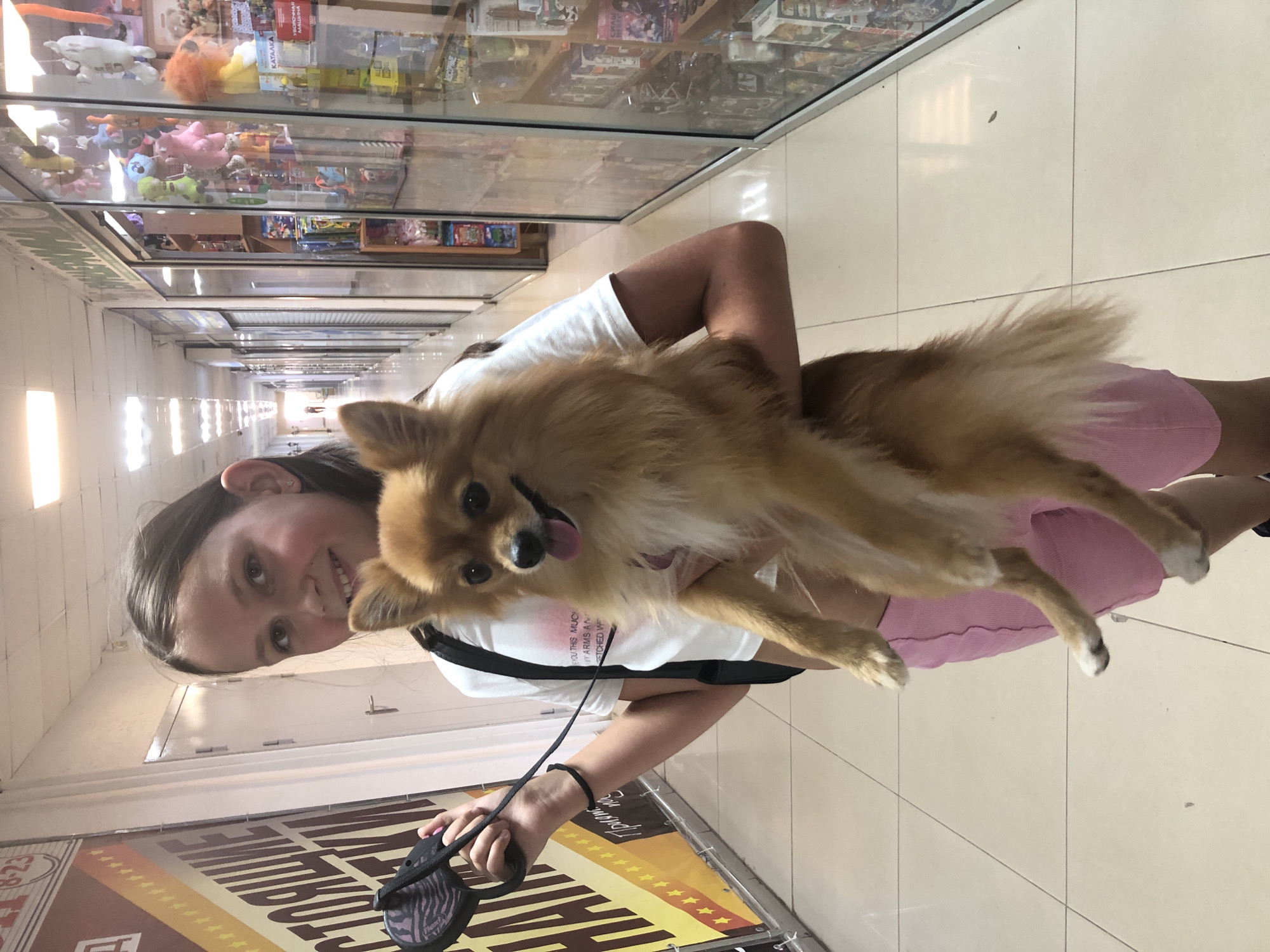 A young girl with brown hair, wearing a white t-shirt and pink shorts, is holding a small, fluffy tan dog. The dog is sitting on her arm, with its tongue out and facing the camera. The girl is smiling and looking at the camera. She is holding a black leash in her right hand. The scene appears to be indoors, possibly a shop or market, with displays of goods on shelves in the background, visible through glass. The floor is tiled with a light-colored pattern. In the foreground, a colorful banner with text is partially visible. The overall mood is cheerful and casual. The image appears to be taken during the daytime, with artificial lighting evident.