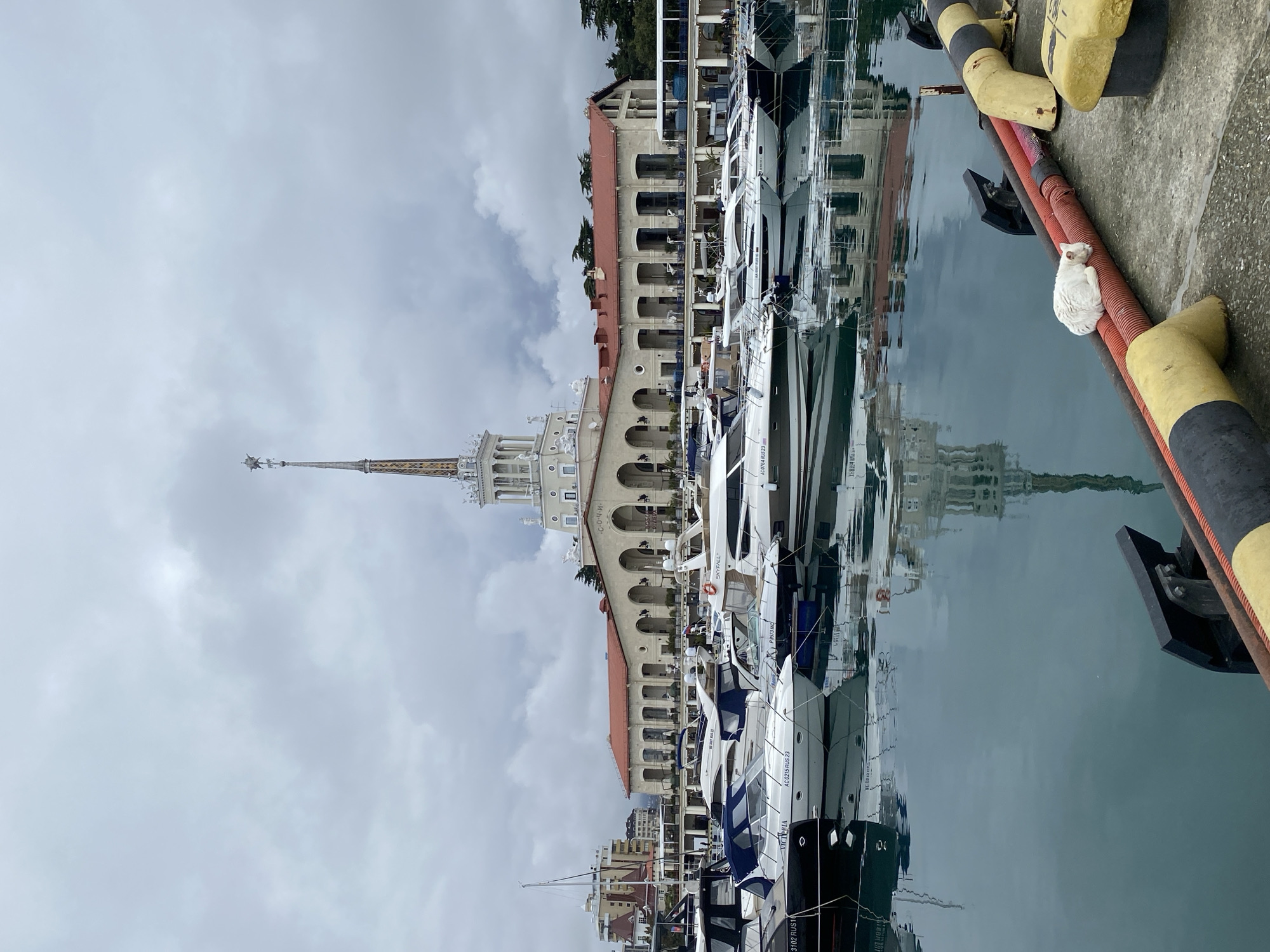 The image presents a view of the Marine Station (Morskoy Vokzal) in Sochi, Russia, captured from the waterside of its adjacent marina under an overcast, grey sky.
In the background, the prominent Marine Station building, a multi-story structure with classical architectural influence, features a central towering spire capped with a star. Its facade displays arched window recesses, a red-tiled roof, and decorative elements, including the Cyrillic word "СОЧИ" (Sochi) on its upper section.
The midground and foreground are dominated by a marina filled with numerous moored vessels. These include a variety of motor yachts and cruisers, predominantly white, black, and grey, with blue canvas covers visible on some. The calm, dark blue-green water reflects the boats and portions of the station building.
On the immediate concrete pier in the lower right, multiple black and yellow striped bollards are spaced along the edge. Running parallel to the pier's edge are two corrugated, orange-red pipes. A small, white, fluffy cat is observed sleeping, curled up on the upper of these two orange pipes. No other discernible people are present in the immediate foreground or midground. Beyond the Marine Station, additional city buildings with varying architectural styles and red roofs, interspersed with green trees, are visible in the distant background.