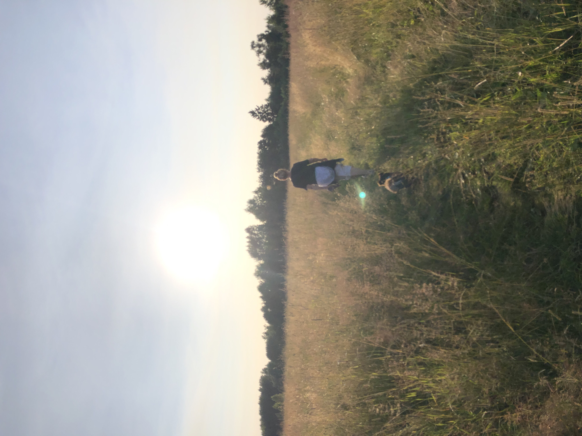 A woman with blonde hair pulled into a bun walks through a field of tall, dry grass towards a line of trees at sunset. She is wearing a dark t-shirt, light-colored shorts, and a dark jacket tied around her waist. A small, dark-colored dog walks ahead of her on a path in the grass. The sun is low in the sky, creating a bright haze and casting a warm glow over the scene. The location is a meadow in Makeikha, Russia.