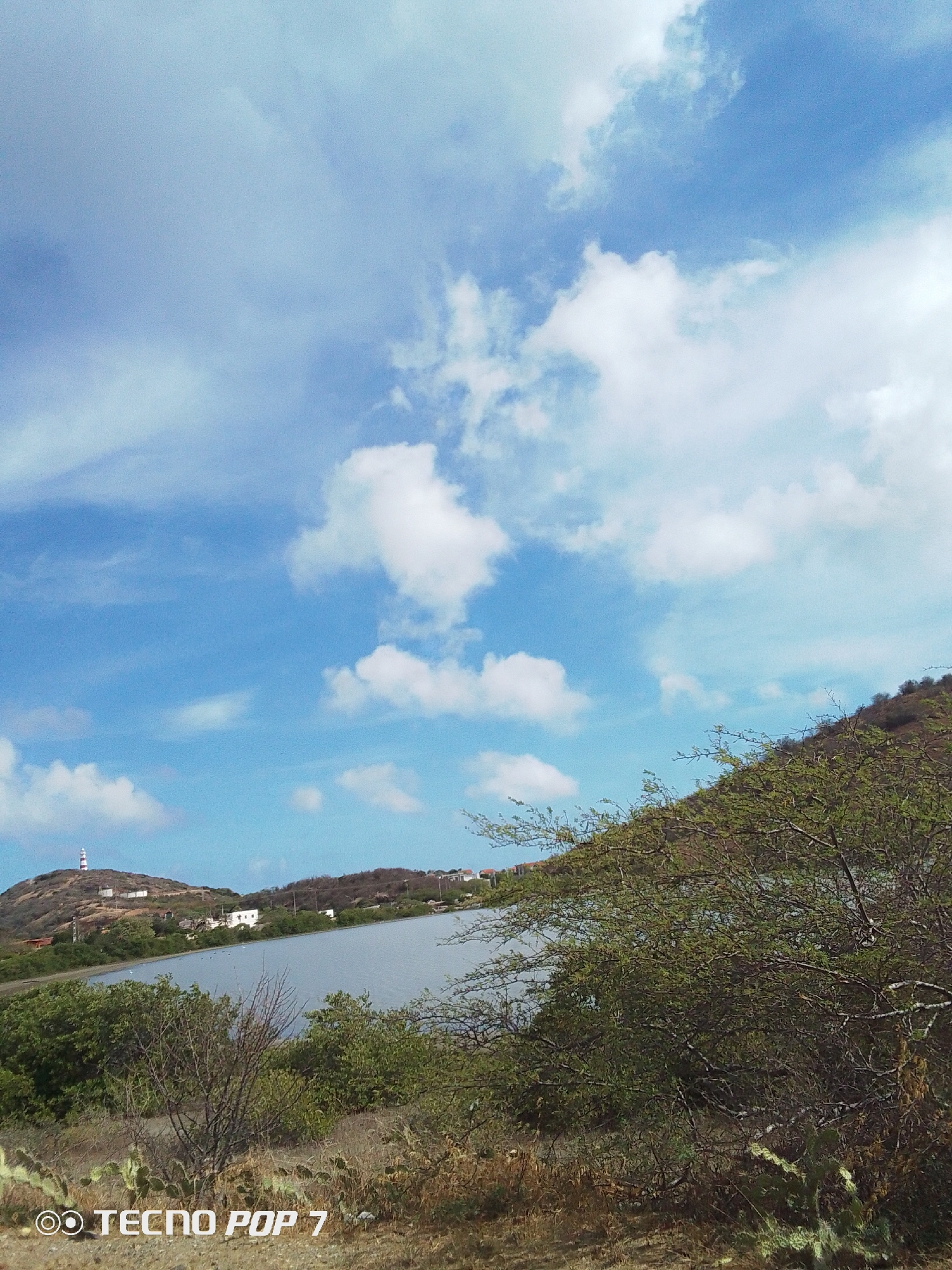 The image depicts a landscape in Pedro González, Venezuela. In the distance, a hill is visible, topped by a red and white striped lighthouse. Several houses dot the hillside around the lighthouse. Below the hill, a body of water stretches across the middle ground. The foreground features scrubby vegetation, including trees and cacti. The sky above is bright blue with scattered white clouds.