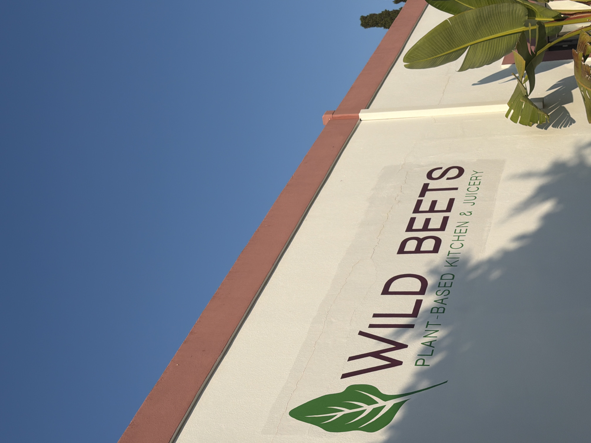 This is a low-angle outdoor shot of the exterior wall of a building against a clear blue sky. The wall is painted white and has a salmon-colored trim along the top. A logo is visible on the wall, featuring a green leaf to the left of the text "WILD BEETS" in dark purple letters. Below this, the text "PLANT-BASED KITCHEN & JUICERY" is written in green. The building appears to be in Santa Eulària des Riu, Spain. Shadows from foliage are cast across the wall and the text. A large green plant with broad leaves is partially visible on the right side of the frame. A few evergreen trees are visible in the distance on the right edge of the image. The overall lighting suggests it is daytime.