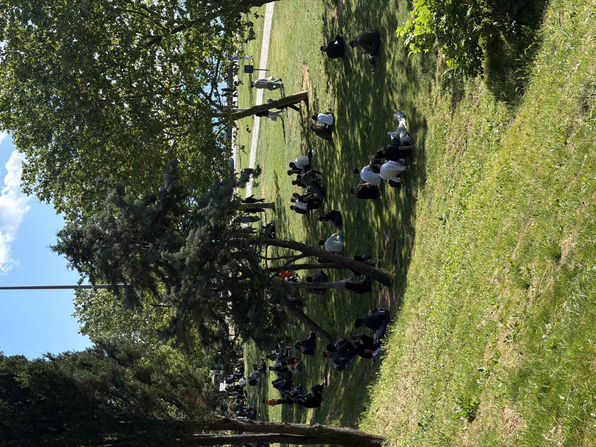 A photograph, oriented vertically, shows a park in Kadıköy, Turkey. Sunlight illuminates a green grassy area with groups of people sitting or kneeling on the grass. Tall trees cast shadows on the ground. The sky is partially visible with blue sky and white clouds. A utility pole extends into the frame from the left. The people are dressed in various clothing, and appear to be engaged in prayer or reflection.