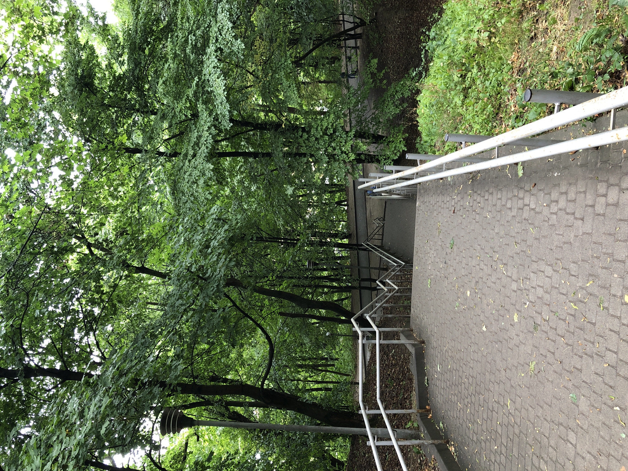 The image depicts a park area with a paved pathway and stairs leading down into a wooded section. The pathway is made of rectangular cobblestones with scattered fallen leaves. A metal railing with white paint lines the sides of the pathway and stairs. Tall, mature trees with dense green foliage form a canopy overhead, creating a shaded environment. Sunlight filters through the leaves, illuminating parts of the path and trees. In the background, more trees and a gently sloping grassy area are visible. There are two lampposts, one on the left side of the pathway and another further in the background on the right. Two individuals can be observed in the distance on a pathway behind the stairs, one appears to be pushing a stroller. The overall scene suggests a public park or green space within an urban setting. The context provided indicates this location is in Lviv, Ukraine.