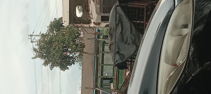 The image shows a black car parked in front of a white truck in Kitengela, Kenya, at coordinates -1.469, 36.96. The truck is partially visible, and it is heavily rusted and appears to be out of use. It is parked in front of a building with a corrugated metal roof. Behind the truck is a green truck that is also partially visible. There is a small tree in the foreground and several power lines running overhead. There are no people present in the scene. The scene is quiet and peaceful.