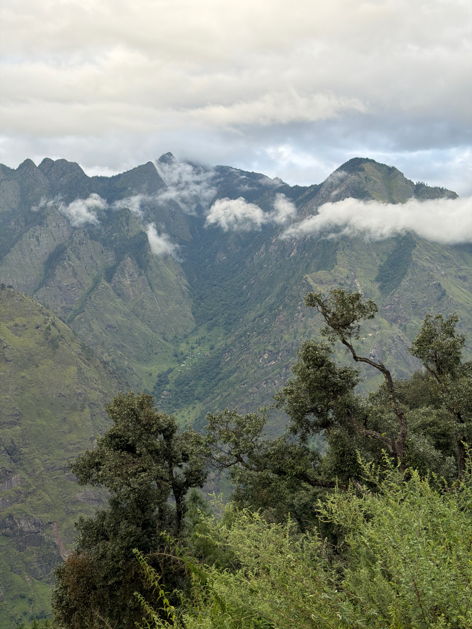 The image depicts a vast mountainous landscape under a cloudy sky. In the foreground, several trees with dense green foliage partially obscure the view of the mountains behind them. The mountains themselves are rugged and steep, with layers of green vegetation clinging to their slopes. A deep valley cuts through the mountain range, and a thin white line, possibly a waterfall or a stream, is visible in the distance. Wisps of white clouds are seen drifting among the mountain peaks, adding a dramatic effect to the scene. The overall impression is one of natural grandeur and a remote, untouched environment. The location in Joshimath, India, suggests this is a scene from the Himalayan region, known for its majestic peaks and natural beauty.