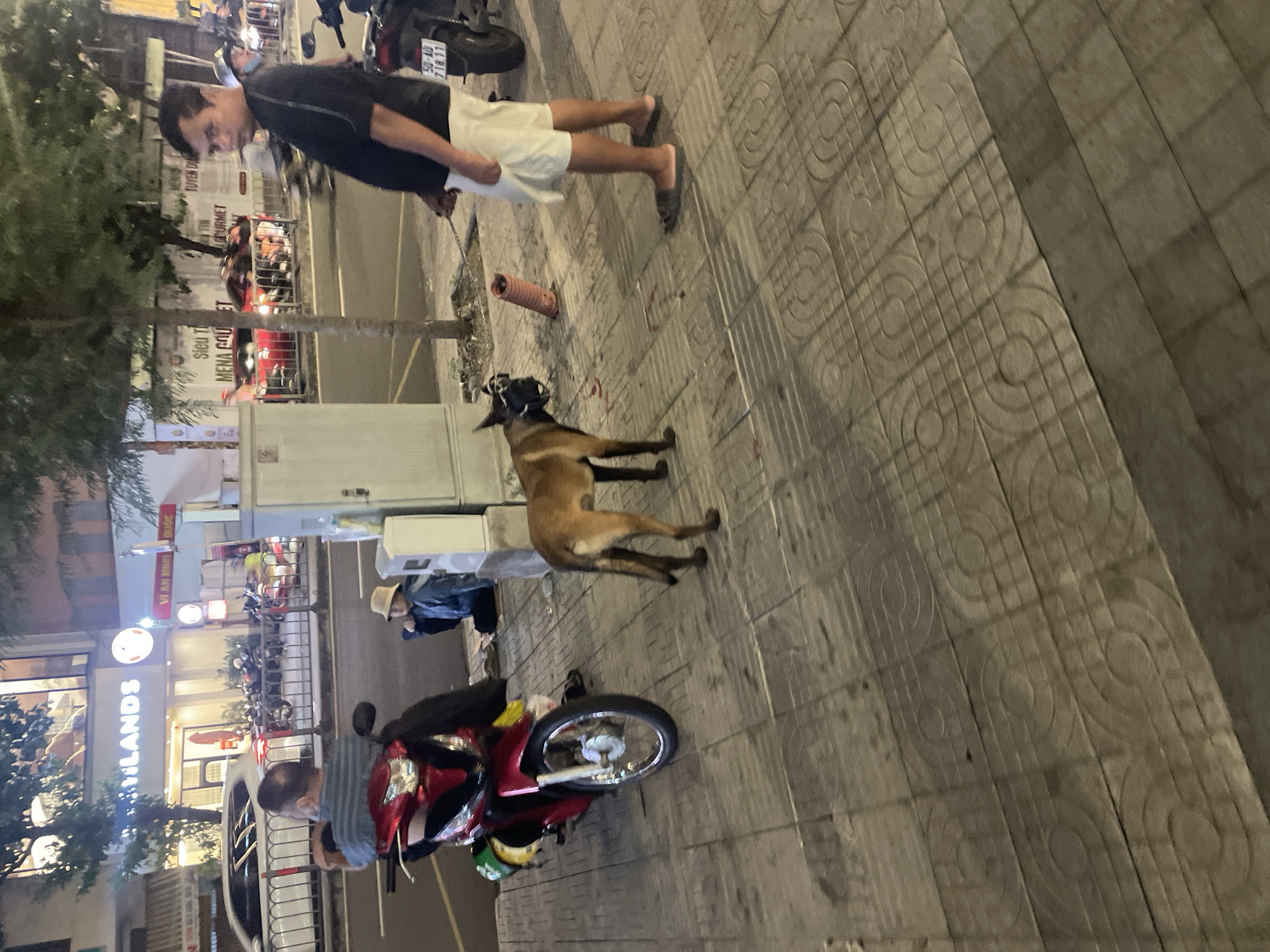 The image depicts a street scene at night in Thủ Đức City, Vietnam. In the foreground, a man in a black t-shirt and white shorts stands holding a leash attached to a brown dog wearing a muzzle. The dog is looking towards the left of the frame. To the left of the man, a red scooter is parked. In the middle ground, a person wearing a bucket hat and a blue jacket sits on the sidewalk next to a grey electrical box. Further back, a white car is parked on the street. The background shows buildings with lit windows, trees, and other parked motorcycles. The street is paved with decorative tiles.