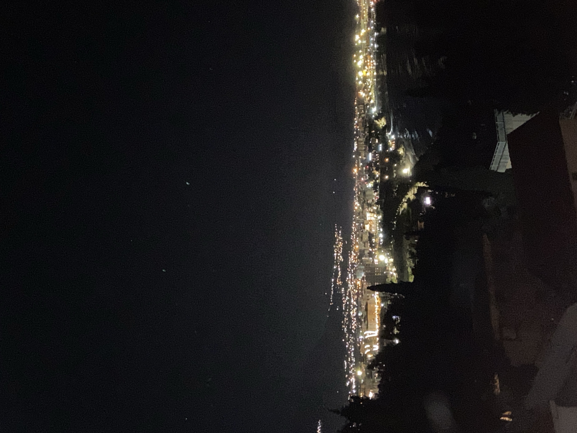 The image shows a nighttime view of the city of Šušanj, Montenegro, taken from an elevated position. To the left is the dark expanse of the Adriatic Sea, with only a few distant lights visible. The city stretches along the coastline, illuminated by streetlights, building lights, and other urban light sources. The concentration of lights is denser closer to the foreground, suggesting a more developed area. The right side of the frame is dominated by dark silhouettes of trees and structures, indicating the presence of vegetation and buildings near the vantage point. There are no people visible in the image.