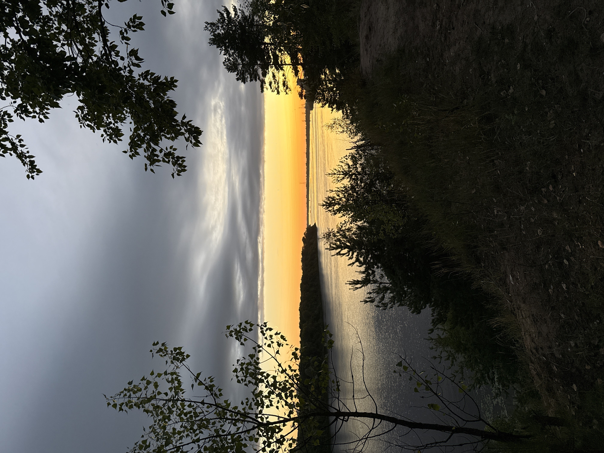 This image depicts a serene sunset over the Volginsky River in the city of Bor, Russia. The sky is a dramatic canvas of dark, stormy clouds transitioning to a vibrant band of orange and yellow at the horizon, indicative of the setting sun. The river, dark and calm, reflects the subtle light, with ripples suggesting a gentle breeze.
On the left bank, a sparse, leafless tree stands in silhouette, its branches reaching out towards the water. Further along the bank, dense foliage and pine trees create a dark, shadowed line. The right bank is characterized by a raised, sandy embankment covered in dry grass and scattered leaves. Pine trees and other vegetation dominate this area, with some of their silhouettes silhouetted against the bright horizon. The foreground is a steep, dark slope of soil and grass. In the distance, across the river, a line of trees marks the opposite bank, and faint industrial structures or transmission towers can be observed on the horizon. The overall mood is one of quiet solitude and natural beauty at dusk.