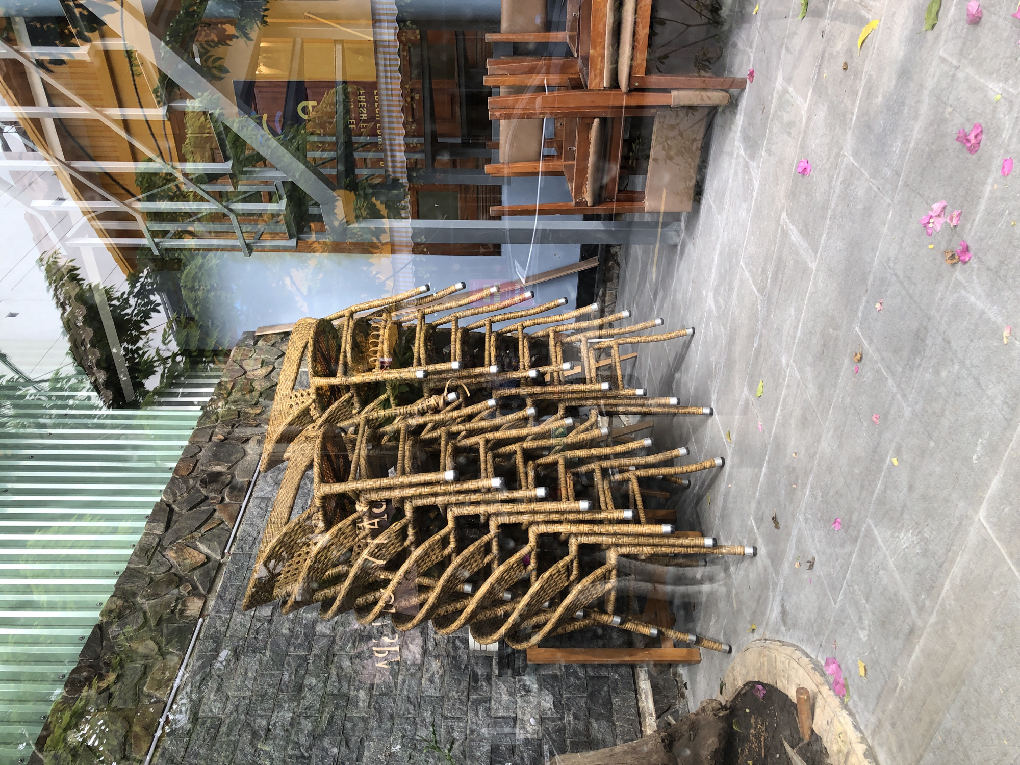 A stack of rattan chairs is visible on the left side of the image. The chairs are stacked one on top of the other and are made of woven material with metal legs. To the right of the chairs, there are wooden chairs with upholstered seats and backs. The scene appears to be an outdoor seating area, possibly a cafe or restaurant, with a tiled floor and fallen flower petals scattered around.
In the background, a reflection in the glass shows an outdoor staircase with wooden railings, a yellow building, and lush greenery. The reflection also includes a portion of a sign that reads "FRESH COFFEE" in reverse. The overall environment suggests a commercial establishment in a tropical or subtropical climate, common in cities like Đà Nẵng, Vietnam, where such outdoor seating and lush vegetation are prevalent.