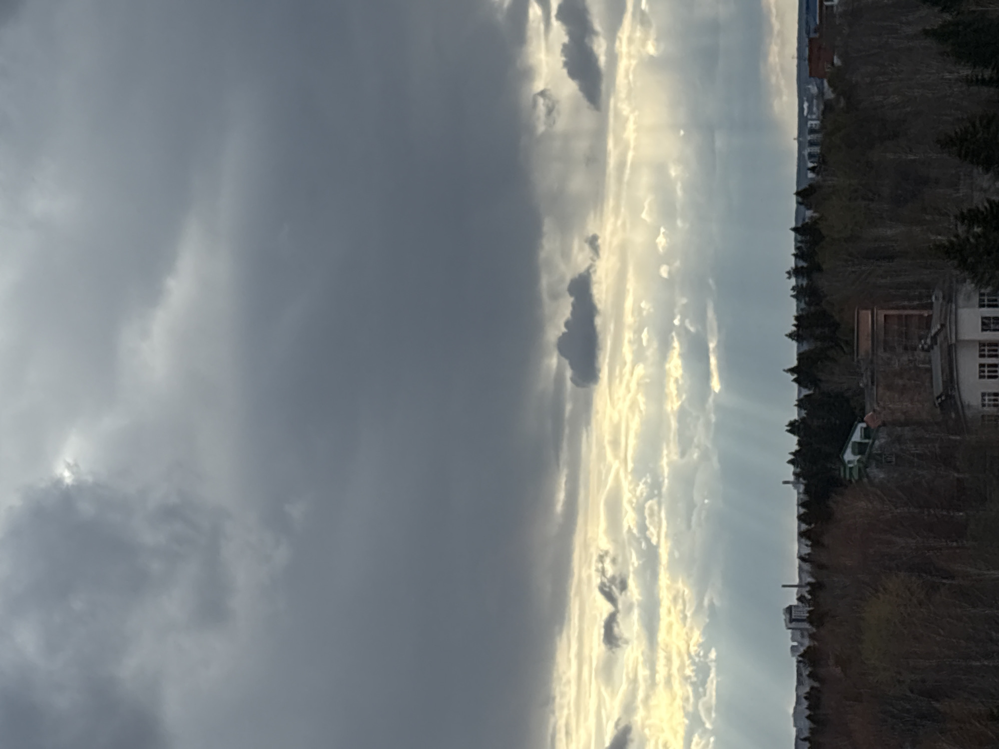 The image, oriented horizontally, depicts a striking landscape under a dramatic sky. The left portion of the frame is dominated by heavy, dark grey storm clouds, creating an overcast and somber atmosphere. In stark contrast, the right side of the sky is brilliantly illuminated by sunlight breaking through scattered clouds, casting clear, golden crepuscular rays downwards. This creates a distinct visual division between dark, brooding weather and bright, golden light.
Along the horizon, which runs across the lower part of the image, a dark, undulating line of land is visible. This area is densely covered with trees, many appearing bare, suggesting a winter or early spring season. Scattered among these dark trees are several buildings. In the lower right corner, a structure with distinct white-framed windows is visible, alongside another with a light green roof. Further along the horizon, distant buildings and structures imply an urban or semi-urban setting.
The time of day appears to be late afternoon or early evening, evidenced by the low-angle golden light and the sun rays. No people are visible, nor is any discernible text present in the image. The scene captures a powerful natural display of light and shadow over a forested landscape with distant human habitations. The location context provided for this scene is Izhevsk, Russia.