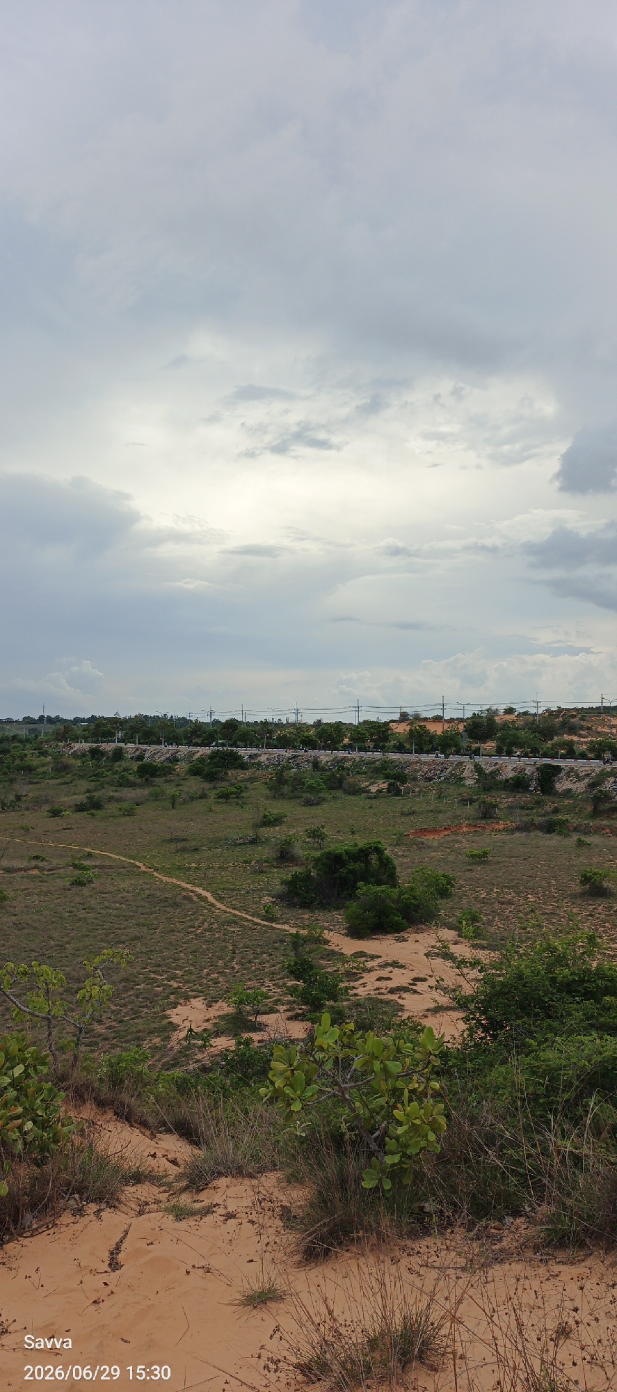 The image depicts an outdoor landscape with a prominent cloudy sky. In the foreground, there is sandy terrain with sparse vegetation, including dry grasses and small leafy shrubs. A dirt path winds its way through the mid-ground, which is covered in dry, patchy grass and occasional clusters of green bushes. Further in the distance, a road is visible, lined with trees and vegetation. A few utility poles with wires are also present along the roadside. The background is dominated by the expansive, overcast sky, with clouds appearing in various shades of gray and white. The timestamp "2026/06/29 15:30" and the name "Savva" are overlaid in the bottom left corner. The scene suggests a rural or semi-rural area within Phu Thuy Ward, Vietnam, characterized by its dry, sandy soil and vegetation typical of such an environment under a cloudy sky. No people or specific actions are discernible in the image.
