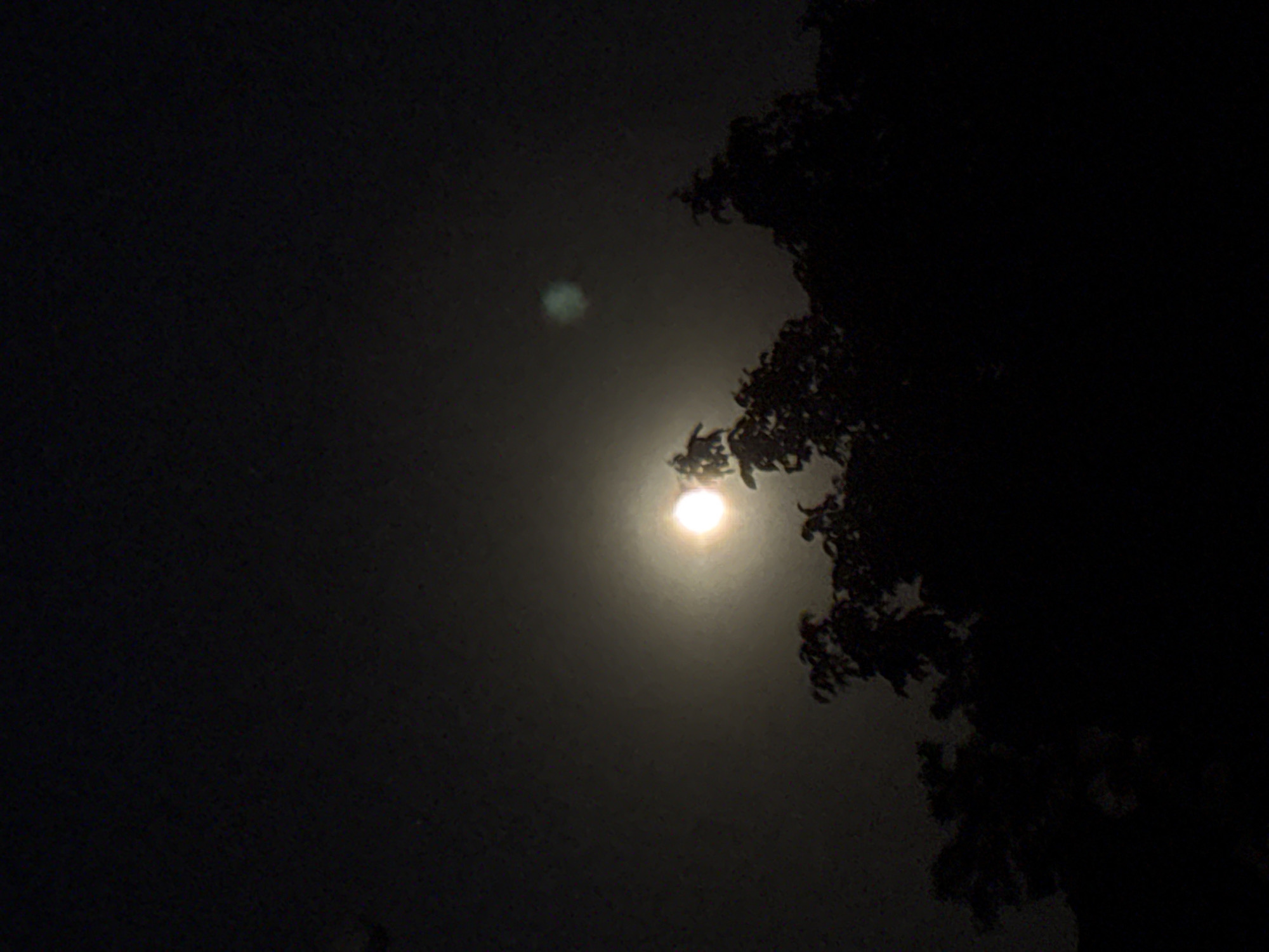 An image taken at night in Kurortne, Ukraine, shows the moon partially obscured by clouds and trees. The moon is a bright, luminous orb in the upper center of the frame, surrounded by a soft halo of light. Silhouetted against the moon are the dark shapes of tree branches and leaves, suggesting a canopy of foliage in the foreground. The sky is a deep, dark hue, indicating nighttime. A faint, greenish-blueish glow is visible in the upper right quadrant of the sky, possibly another atmospheric phenomenon or lens artifact. The overall scene evokes a serene and somewhat mysterious nighttime landscape.
