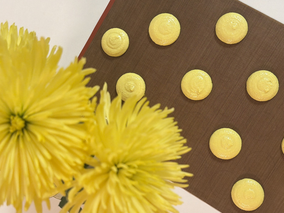 The image displays an overhead view of a static scene featuring two large, out-of-focus yellow chrysanthemum-like flowers in the upper left foreground. The background consists of a plain white surface on the left and upper right. In the mid-ground and foreground, eight uniformly circular, light yellow, piped batter portions, consistent with macaron shells, are arranged on a rectangular brown silicone baking mat. The mat has a thin red border visible along its right edge. The piped batter portions exhibit a slightly textured, mounded appearance. The scene depicts an indoor setting, likely a domestic or professional kitchen environment. No visual information within the image identifies its specific location as Tel-Aviv, Israel. No people are present, and no actions or interactions are depicted.