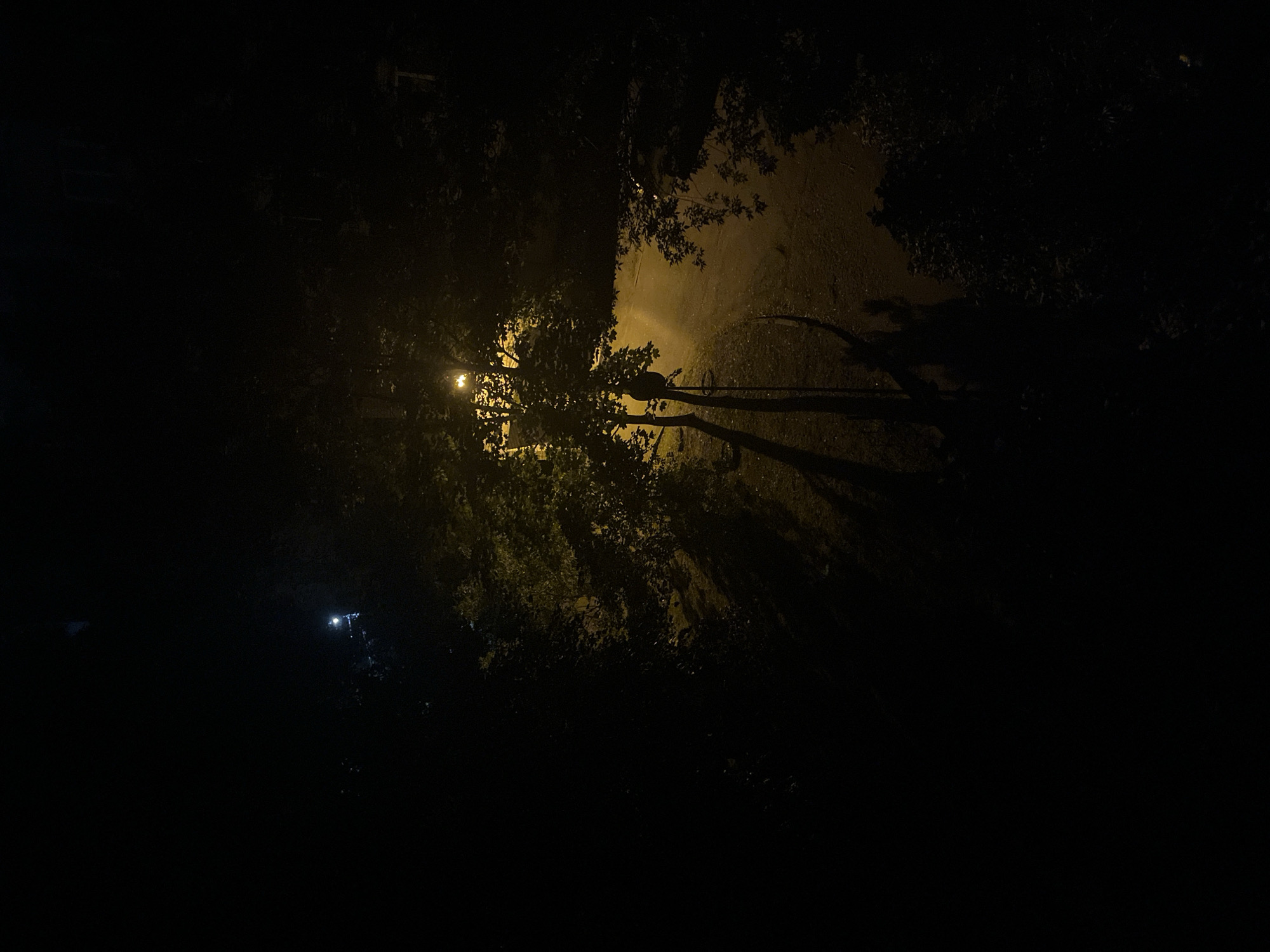 The image captures a dimly lit outdoor scene at night. A streetlamp illuminates a pathway or road, casting long shadows from the surrounding trees. The light from the lamp creates a warm, yellow glow on the ground and foliage. The area appears to be a park or a residential street with dense vegetation. The overall mood is somewhat dark and atmospheric, with limited visibility beyond the immediate area lit by the streetlamp. There are no people or visible activity depicted in the image. The specific location in Vitsebsk, Belarus, cannot be determined from the visual information provided.