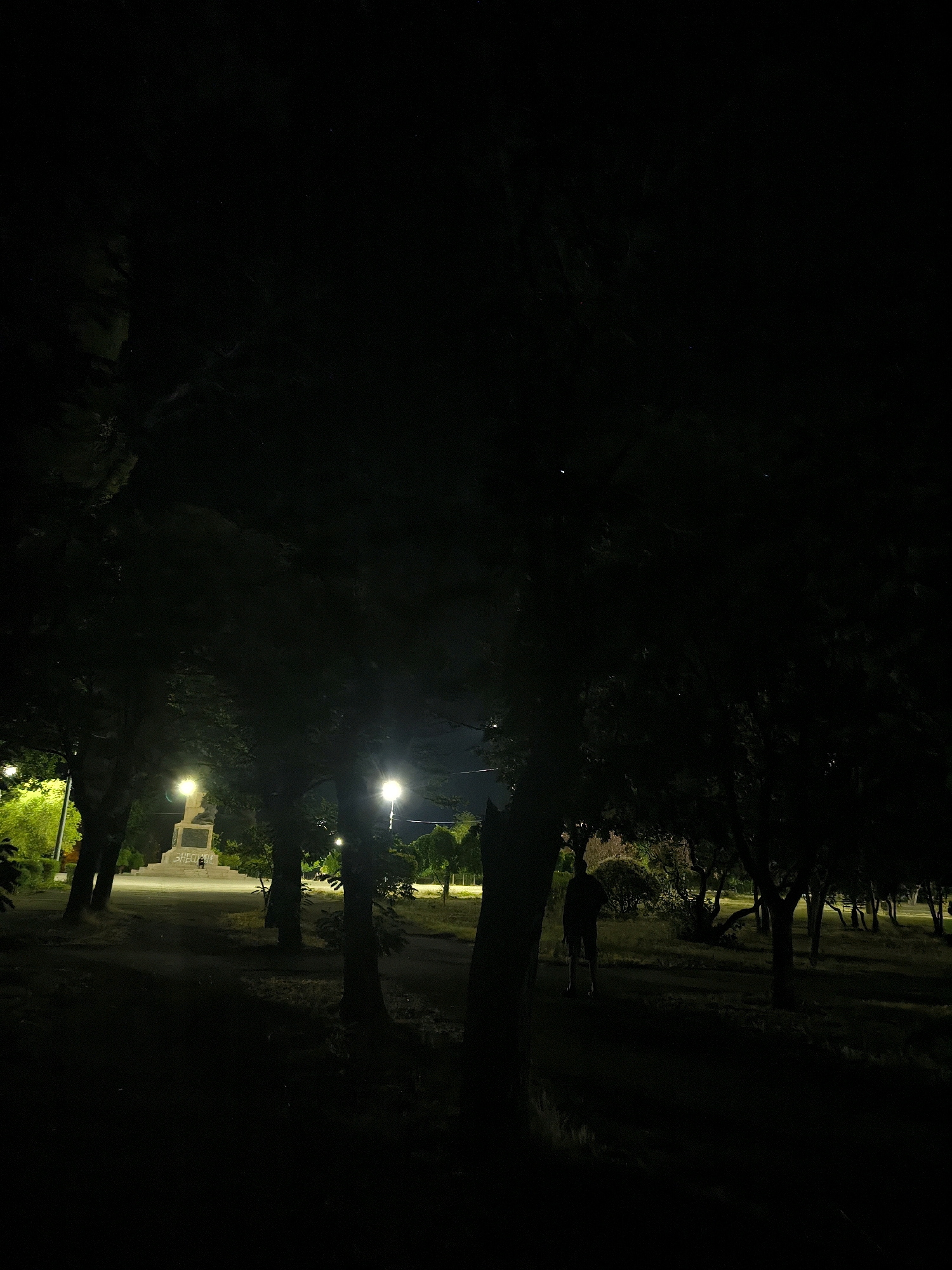 The image depicts a nighttime scene in a park in Mykolaiv, Ukraine. In the mid-ground, a monument is illuminated by streetlights. The monument appears to be a stone structure with a statue or figure on top and visible inscriptions on its base. Several streetlights are positioned along a path that leads to the monument. Silhouetted against the lit background, a single human figure is visible standing in the foreground, facing away from the camera and towards the right side of the frame. The figure is dressed in dark clothing and appears to be walking or standing. The surrounding area consists of trees and grassy ground, with the majority of the image dominated by darkness due to the nighttime setting. The overall atmosphere is subdued and quiet, with artificial lighting casting shadows and highlighting specific elements within the park.