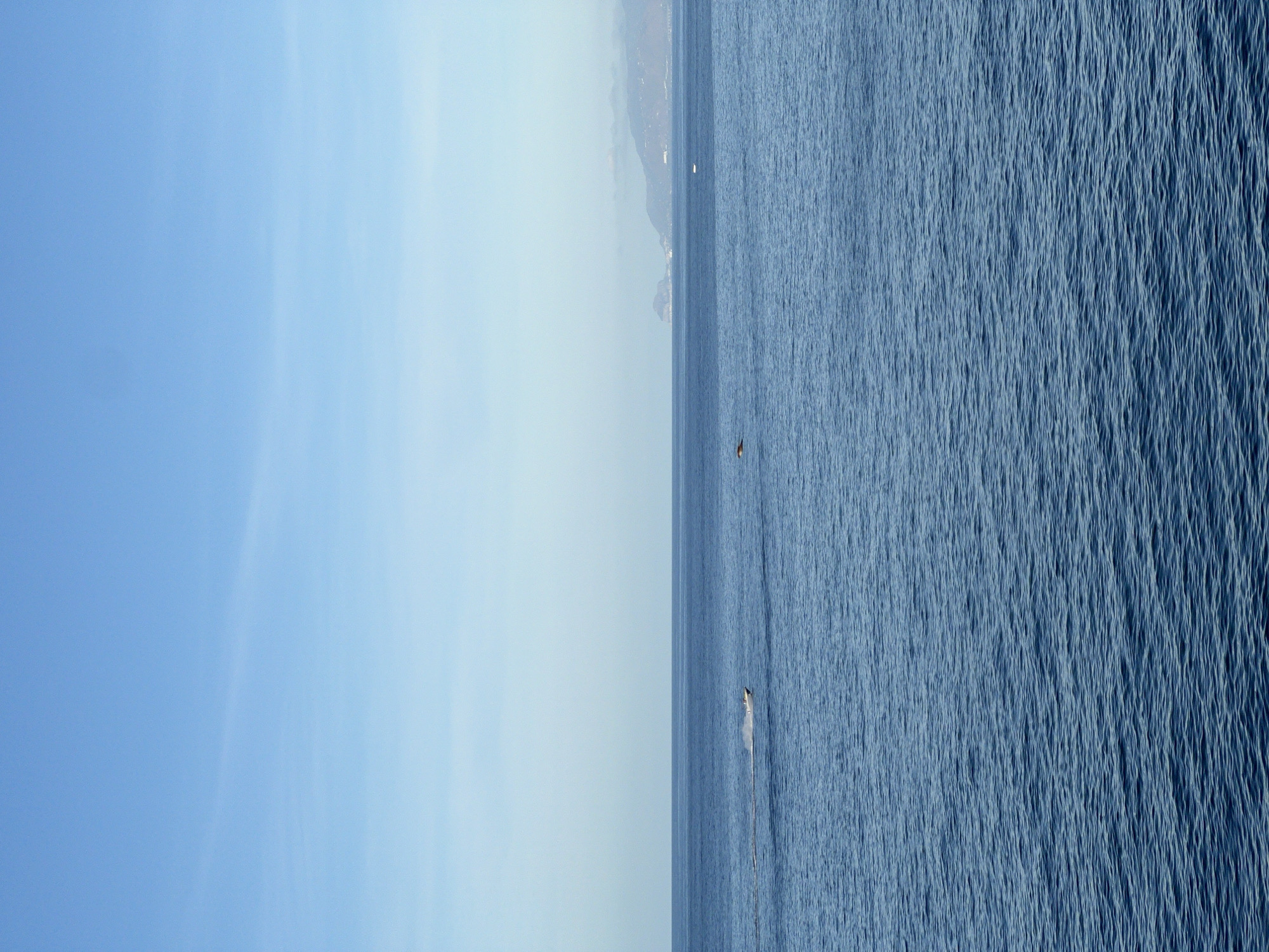 The image depicts a vast expanse of the Tyrrhenian Sea off the coast of Sperone, Italy, under a clear, light blue sky. The horizon line is sharp and runs horizontally across the upper middle of the frame. The sky, occupying the upper 40%, is a pale cerulean with faint, wispy cloud formations. The sea, comprising the lower 60%, is a deep, tranquil blue with discernible ripples on its surface, indicating calm conditions.
In the mid-left section of the sea, a small, light-colored motorboat is observed in motion, traveling from left to right, leaving a prominent white wake behind it. Further right and slightly closer to the foreground, a dark, rounded object, consistent with a marine animal such as a dolphin or small whale, is partially visible above the water's surface. Along the distant horizon on the right, hazy, light blue-grey mountains and a distinct rocky outcrop are discernible, indicating a distant coastline. A tiny white object, possibly another boat or buoy, floats near the horizon on the right side, closer to the distant landmass.