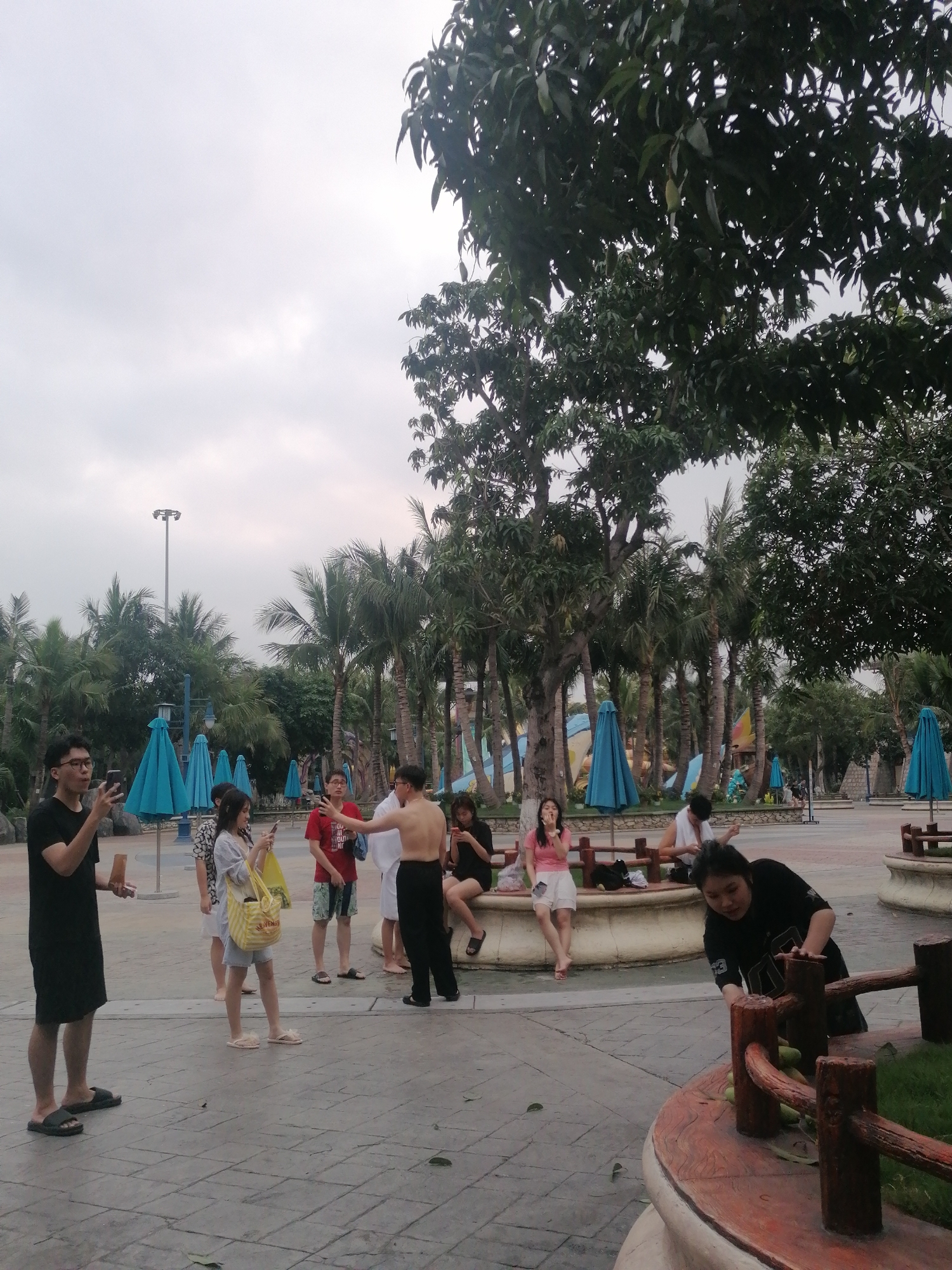 The image captures a group of young adults gathered in an outdoor recreational area, likely a park or water park, under an overcast sky. The setting features numerous palm trees and other large leafy trees, some bearing visible fruit, and several closed bright blue beach umbrellas. The ground is paved with a patterned grey surface.
In the foreground on the left, a young man wearing glasses, a black t-shirt, and shorts stands, holding a phone to his ear or looking at it. To his right, a young woman in a light-colored top and shorts, carrying a yellow fabric bag with indistinct text, is also focused on her phone. Further right, a man with a bare torso and red patterned shorts is gesturing with his arm while looking towards another man in a red t-shirt and patterned shorts who is holding a phone. A person in a white top, possibly with a towel over their shoulder, is partially visible behind the shirtless man.
Towards the right side of the frame, a young woman in a black t-shirt is leaning over a low wooden fence surrounding a planter, looking downwards. Behind her, a woman in a pink top and white shorts sits barefoot on a decorative concrete bench or planter. Another person in a black top is seated in the background.
The group appears to be casually socializing or waiting. The presence of water park structures in the background, along with the attire of some individuals (e.g., shirtless man, shorts), suggests a warm, leisure-oriented environment in Bai Chay Ward, Vietnam. Fallen leaves or small fruits are scattered on the ground near the planters. The overall mood is relaxed, with no strong emotions evident.