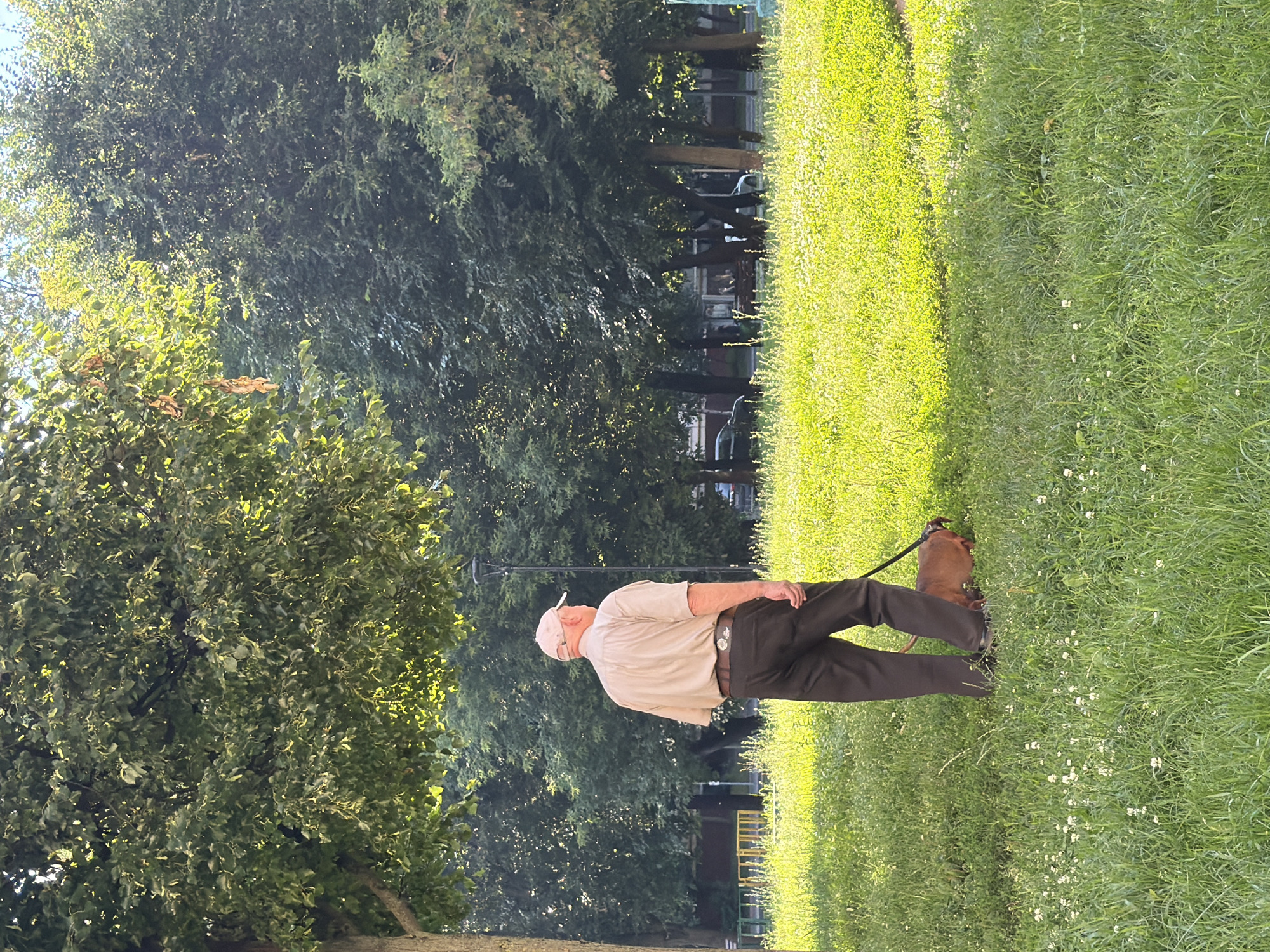 An elderly man wearing a tan short-sleeved shirt, dark trousers, and a light-colored baseball cap walks a small brown dog on a leash through a grassy park. The man's back is to the camera. The dog appears to be a Dachshund breed. Sunlight dapples the vibrant green grass, suggesting a warm day. Several large trees with lush green foliage form a canopy overhead and in the background. In the distance, behind the trees, there are glimpses of buildings and parked cars. A lamppost is visible to the right of the man. The scene appears to be in a city park in Moscow, Russia.