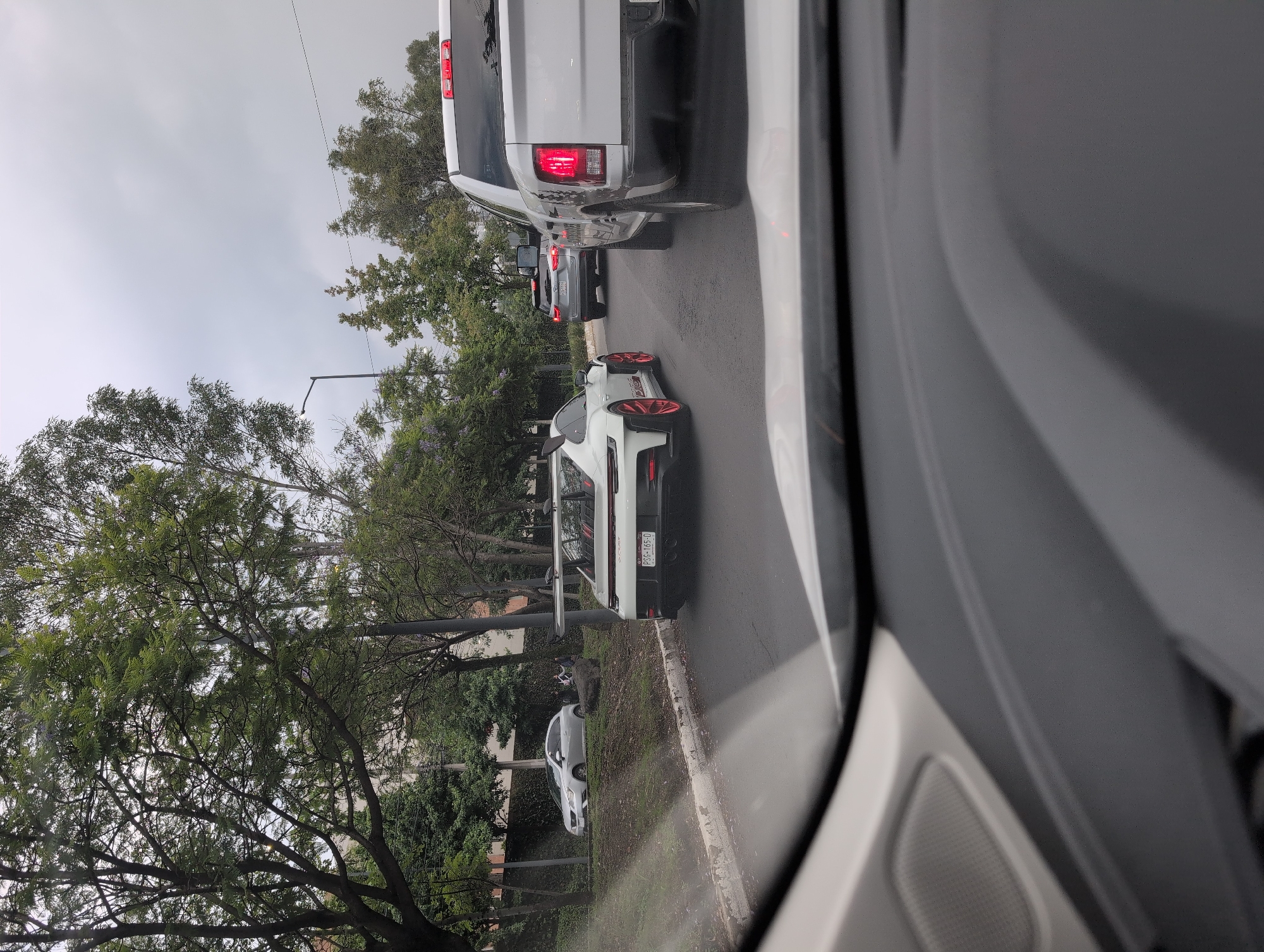 The image depicts a street scene in Mexico City, Mexico, captured from inside a vehicle looking forward. In the foreground, the dashboard and windshield of the observer's vehicle are visible. Ahead, a white Porsche 911 GT3 (992 generation) with prominent red multi-spoke wheels, a large swan-neck rear wing, and red accents on its rear diffuser is stationary or moving slowly in the left-center lane. Its Mexican license plate, "PSG-165-D," is clearly visible. To the right of the Porsche, a white Ram pickup truck is also stationary, displaying illuminated red brake lights. Its tailgate features "RAM" lettering and a graphic. Further ahead in the same lane as the Porsche, a grey SUV, possibly a Toyota RAV4, is visible with its license plate "PLR-916."
On the left side of the road, an elevated grassy embankment with some rocks separates the road from a row of trees and buildings. A silver hatchback, likely a SEAT Ibiza, is parked on the shoulder of this embankment. Behind it, two individuals are present on the embankment; one is seated, and the other stands nearby. The environment is characterized by dense green foliage from numerous trees lining the street, with some trees showing purple blossoms (likely Jacaranda). Buildings are partially visible through the trees in the background. The sky is overcast. A street light pole is visible on the left side, embedded within the tree line. The asphalt road surface is visible, and traffic appears to be stopped or moving slowly.