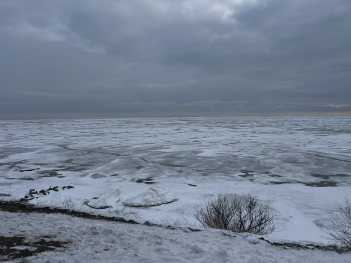 The image presents a wide view of a frozen body of water under an overcast sky, located in Primorka, Russia. The upper half of the frame is dominated by a uniformly grey, cloudy sky. A subtle, narrow band of faint orange-pink light is visible along the far right horizon where the sky meets the water.
The midground and distant background consist of an expansive body of water, completely or predominantly covered by a fragmented layer of ice and snow. The ice surface displays a mosaic of white snow, lighter grey ice, and darker grey/black patches, indicating areas of snow cover, exposed ice, and potentially open water or very thin ice. Irregular cracks and distinct ice floe patterns are visible across the entire frozen surface, extending to the distant horizon.
The foreground depicts a snow-covered embankment or shoreline, sloping downwards towards the frozen expanse. Patches of dark earth or rock are visible interspersed with the snow along the immediate edge of the land. Scattered, leafless deciduous bushes or shrubs with dark branches are present on the snowy bank in the lower right and center-left areas. Large, irregularly shaped blocks of ice and snow accumulate along the water's edge in the foreground. No individuals, animals, or man-made structures are visible in the scene, which appears static and desolate, characteristic of a cold winter environment.