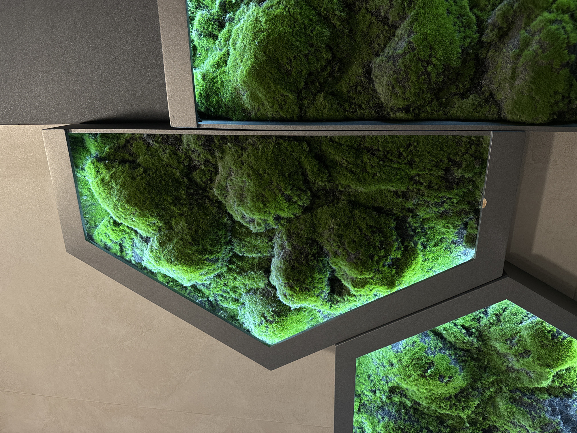 The image shows a wall decoration comprised of interconnected, polygonal frames filled with bright green moss. The frames are a dark gray, possibly metallic material, and have a minimalist design. The moss is densely packed within the frames and appears textured and three-dimensional. The lighting suggests that the moss might be illuminated, enhancing its vibrant color. The wall behind the decoration is a light beige, providing a neutral backdrop that contrasts with the green and gray elements. There are no people visible in the image. There is no information provided about the location being Vorsha, Russia.