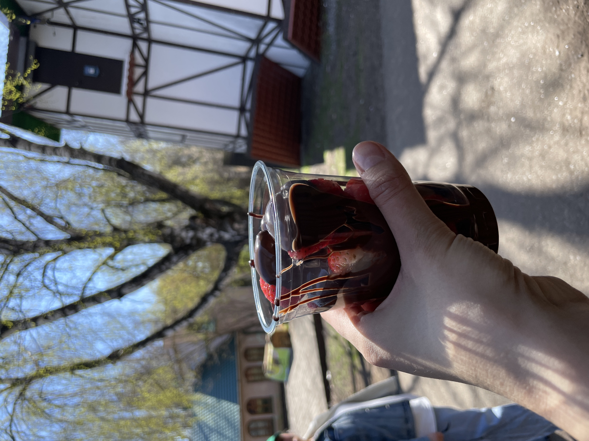 A photograph taken outdoors depicts a hand holding a clear plastic cup filled with what appears to be chocolate-covered strawberries. The strawberries are visible inside the cup, coated with dark chocolate and drizzled with a lighter chocolate sauce. The hand holding the cup is fair-skinned, with the fingers wrapped around the base of the cup. The background includes trees with budding leaves, suggesting it is spring. Behind the trees is a building with a distinctive architectural style, featuring dark wooden beams and white panels. The ground appears to be paved with gravel or small stones. The location is Unknown, Unknown.