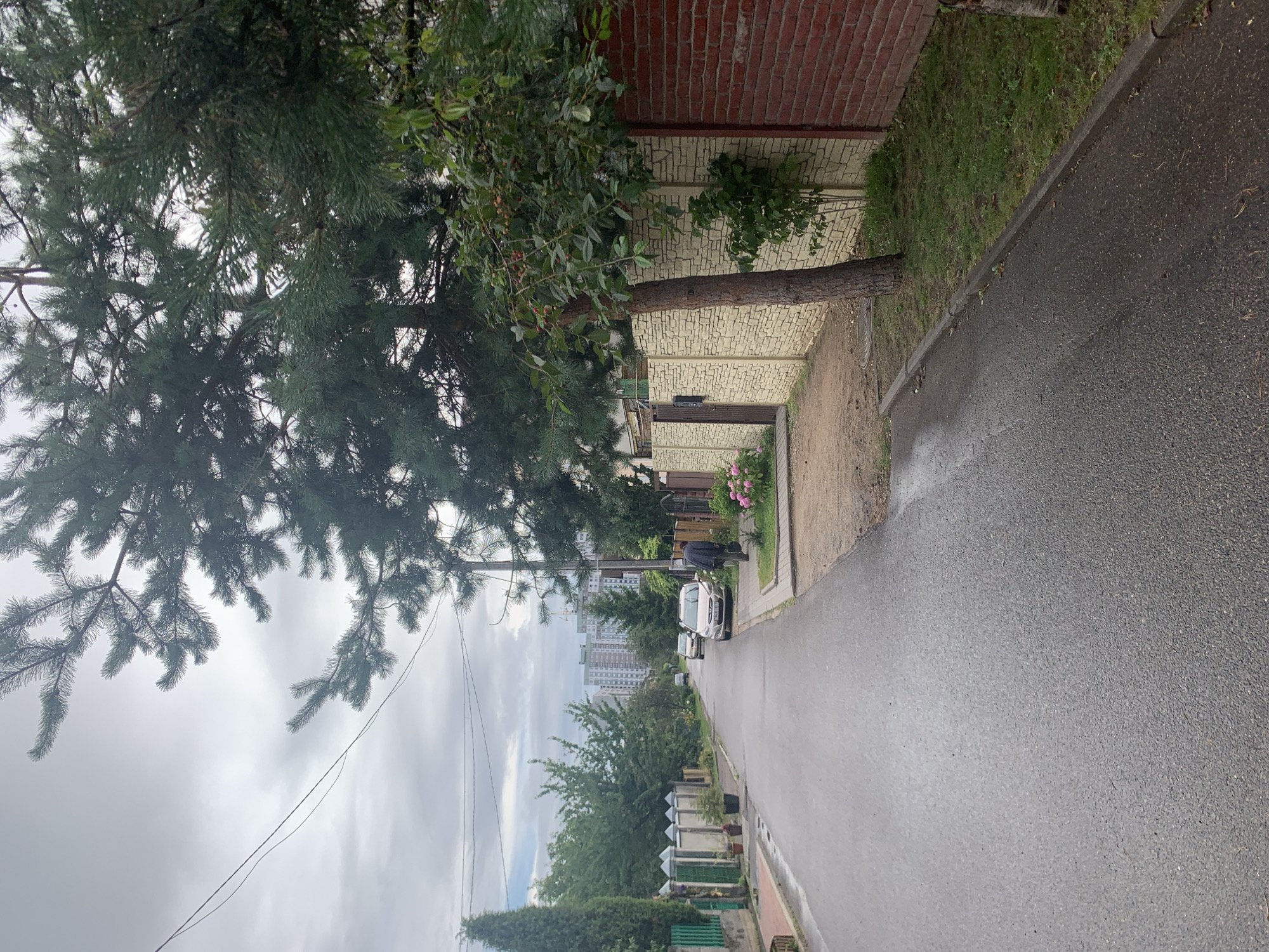 A vertical, medium shot captures a quiet, paved street in a residential area of Minsk, Belarus, on an overcast day. The street is lined with fences and trees, with buildings visible in the distance. On the left side of the street, a white fence with decorative posts and green trim separates properties. Potted plants are placed along the sidewalk. Further down the street, two cars are parked, and a person wearing a dark jacket walks away from the camera. On the right side of the street, a light-colored, textured stone wall runs alongside a property, bordered by a red brick wall further down. A pine tree stands prominently in the foreground on the right, with its branches extending into the frame. Lush green grass and a small shrub grow near the wall. The road surface is dark and appears wet, suggesting recent rain. In the background, apartment buildings of varying heights can be seen, indicating the proximity to a more urbanized area.