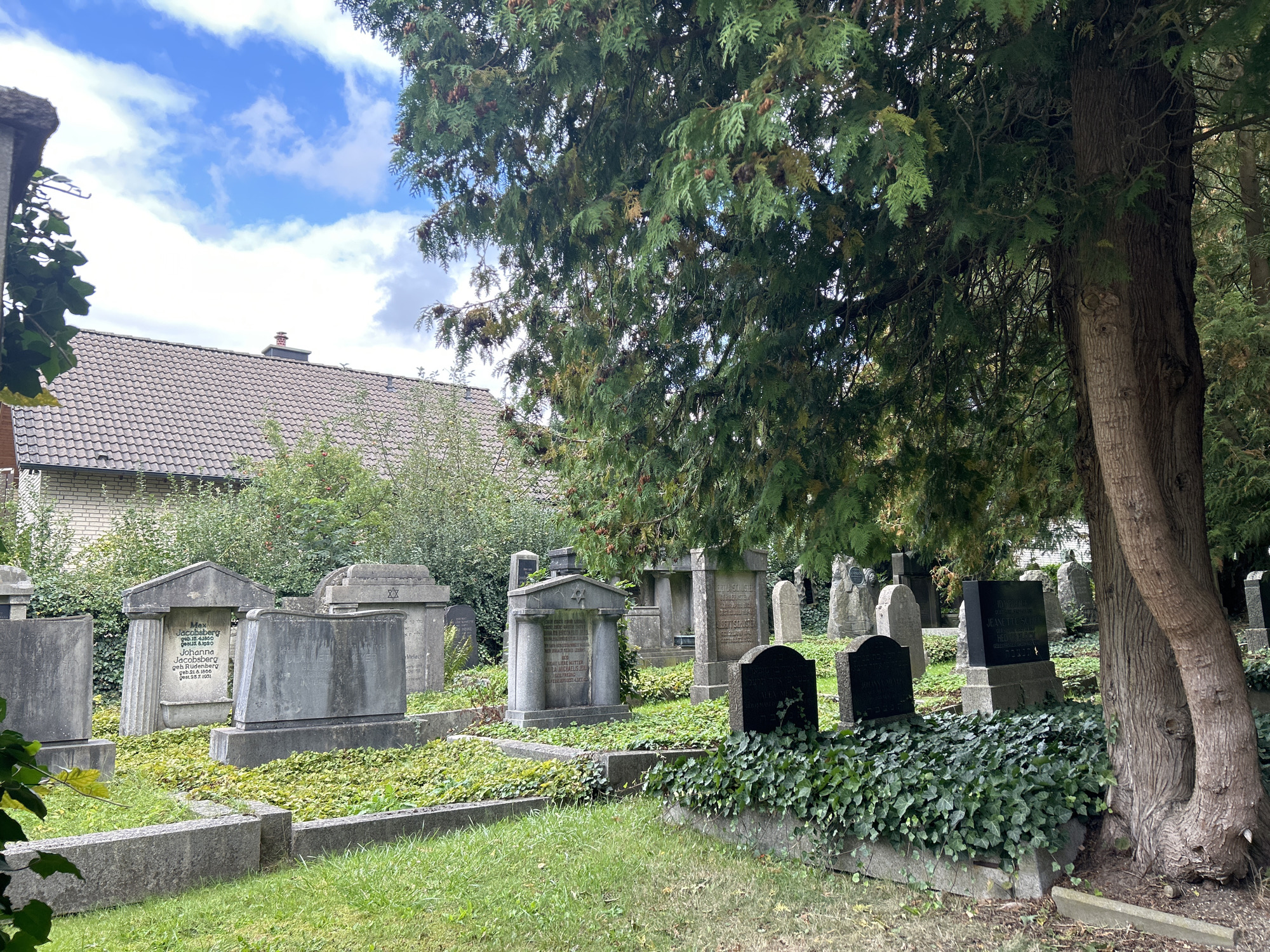 This is a ground-level, eye-level, outdoor, daylight photograph of a section of the Jewish cemetery in Detmold, Germany. The foreground features manicured green grass bordered by low concrete retaining walls. Numerous gravestones of various shapes and sizes, made of stone, are scattered throughout the scene. Some gravestones are upright slabs, while others are more ornate with arched tops or tiered bases. Several are covered with ivy, which also creeps along the ground and the retaining walls. In the mid-ground, more gravestones are visible, some with legible inscriptions and symbols like the Star of David. A large tree with a thick, textured trunk dominates the right side of the frame, its branches and dense green foliage partially obscuring the sky and some of the gravestones. In the background, behind the cemetery, a brick building with a tiled roof and a chimney is partially visible, situated amidst lush green foliage. The sky is blue with scattered white clouds.