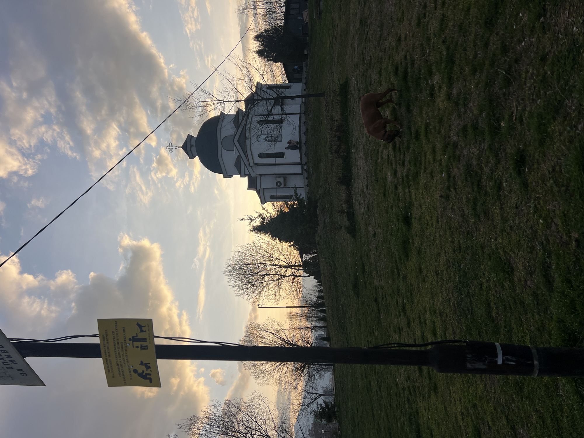 The image depicts an outdoor scene at dusk or dawn in a park-like setting within Sofia, Bulgaria, characterized by an overcast sky with warm, orange-hued clouds.
In the immediate foreground, a dark utility pole stands vertically on the left side of the frame. Attached to this pole is a rectangular yellow sign with black text and pictograms. The sign, written in Bulgarian, instructs dog owners to clean up after their pets, illustrating a person stooping to collect waste and a dog beside a waste bin.
To the right of the pole, a brown, short-haired dog, possibly a Boxer or similar breed, is positioned on a grassy incline, facing right and sniffing the ground.
In the midground, situated on a prominent hill, is a white Orthodox church featuring a dark, domed roof topped with a cross. The church exhibits multiple arched windows and an external air conditioning unit on its side. Two indistinct figures are visible near the church's entrance. Behind the church, a dark, low-slung building is partially visible.
The environment consists of green grass covering rolling terrain. Numerous bare deciduous trees are interspersed throughout the scene, particularly to the left and behind the church, alongside some evergreen trees. A faint, distant urban or mountainous landscape is visible on the far left horizon. A black electrical wire extends diagonally across the upper portion of the frame, from the top-left corner towards the center-right.