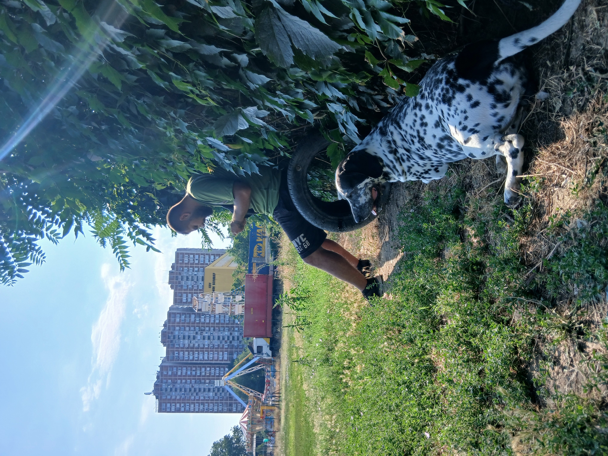 In an outdoor setting in the city of Unknown, Unknown, a man with a beard is seated on a tire, looking at his phone. He is wearing a green t-shirt and dark shorts. Beside him, a dalmatian dog rests on the ground, its tongue out. The dog is black and white with distinctive spots. Behind them, a dense green vine covers a wall. In the background, several tall, reddish-brown apartment buildings are visible under a blue sky with scattered clouds. To the left of the buildings, a small amusement park with rides and a Ferris wheel can be seen, along with a red truck and a yellow building with Cyrillic writing. The ground is covered in green grass and dirt. The sun is shining, casting shadows and creating lens flare effects.
