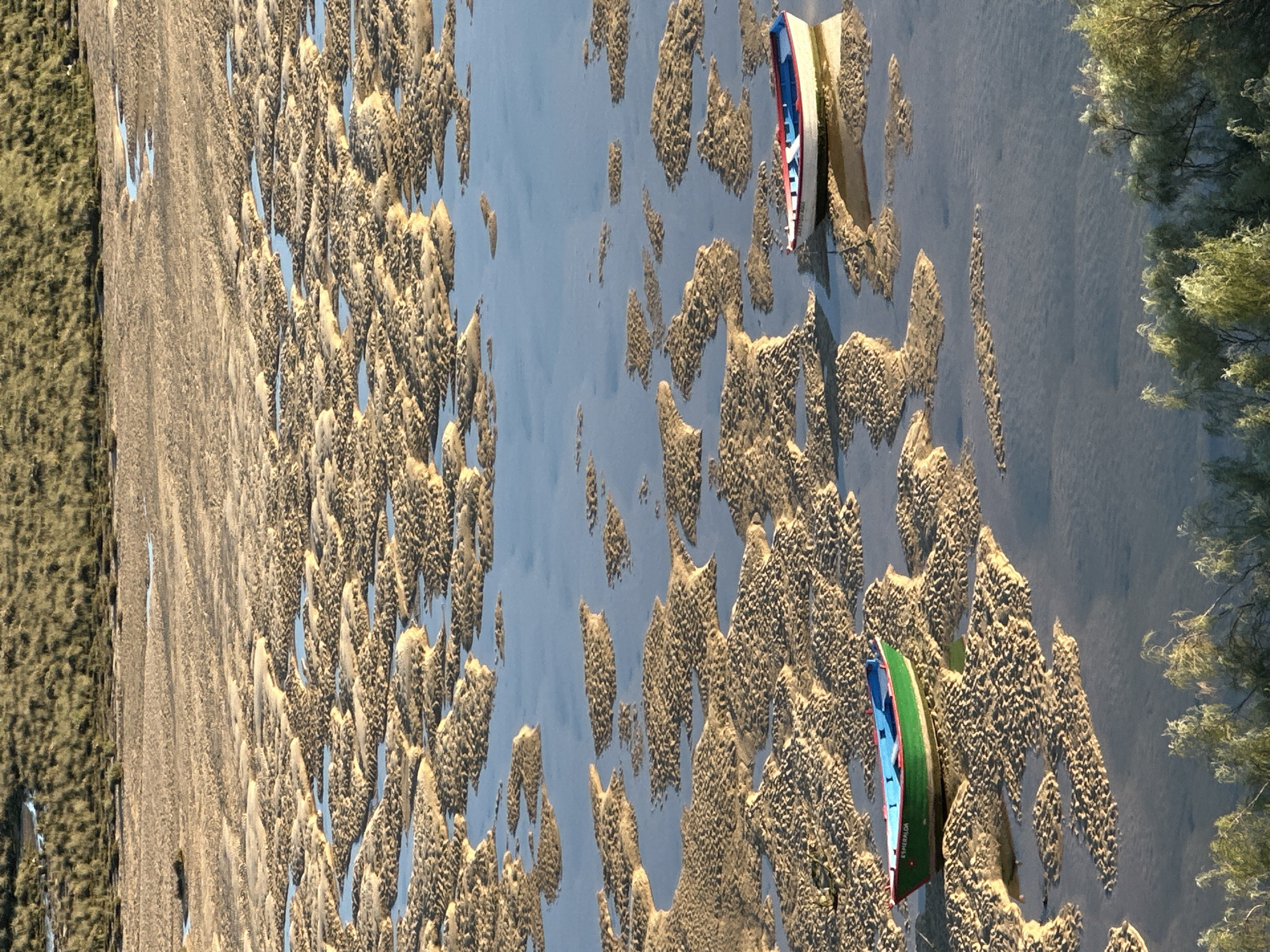An aerial shot depicts a beach in Vila Real de Santo António, Portugal. The beach is characterized by irregular sandy formations interspersed with shallow water. Two beached boats, one with a red, white, and blue exterior and another with a green, blue, and red exterior, are visible on the sand. The shoreline is bordered by a grassy area on one side and trees on the other.