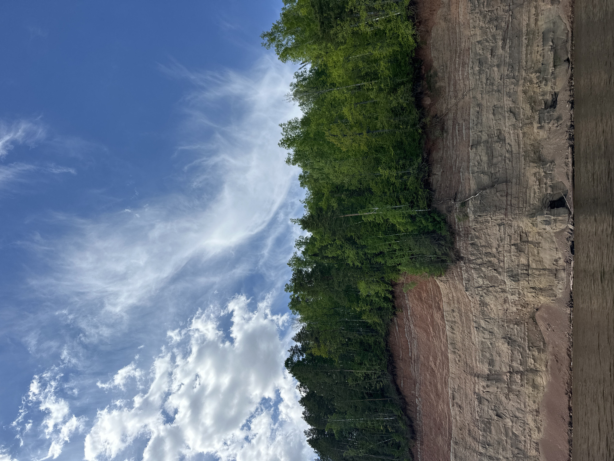 The image displays a steep cliff face with a dense line of trees along its upper edge, set against a blue sky with scattered clouds. The cliff is composed of layered rock formations, exhibiting different colors and textures. The tree line appears lush and green. Part of a dark, potentially wooden structure or object is visible on the right side of the image, possibly at the base of the cliff. Based on the image content and the provided location of Novyi, Russia, the scene appears to be a natural landscape, potentially along a river or lake shoreline.