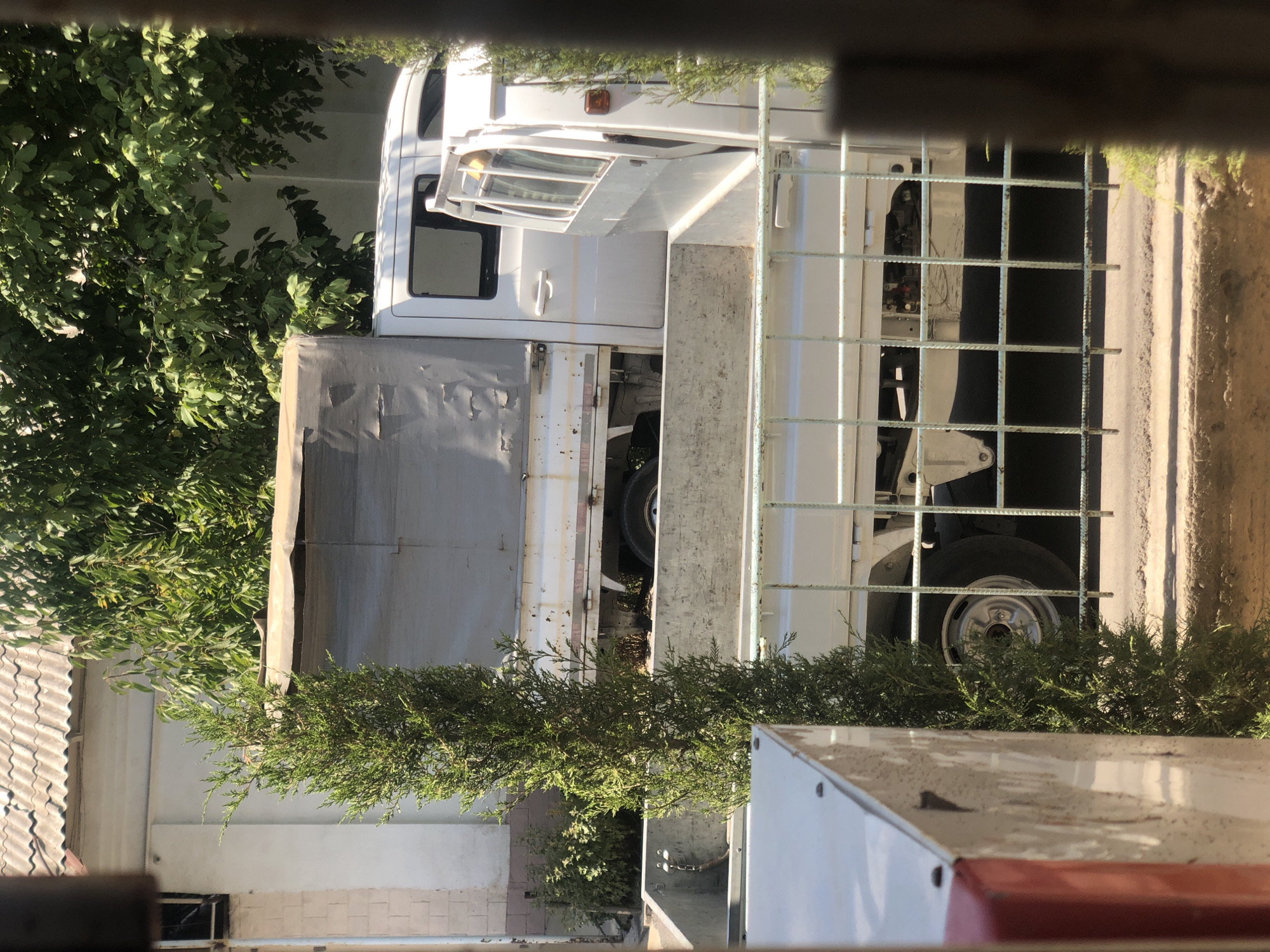 The image shows a white truck parked on a paved street. The truck has a tarp covering its cargo area. A thin, green evergreen tree stands in the foreground, obscuring part of the truck. In the background, a building with a grey, corrugated roof is visible, along with dense green foliage from trees. The scene appears to be an outdoor, daytime setting in a city. Based on the architectural style of the building with its white, brick-like siding and the presence of a fence, and considering the foliage, the location is likely in Tashkent, Uzbekistan.