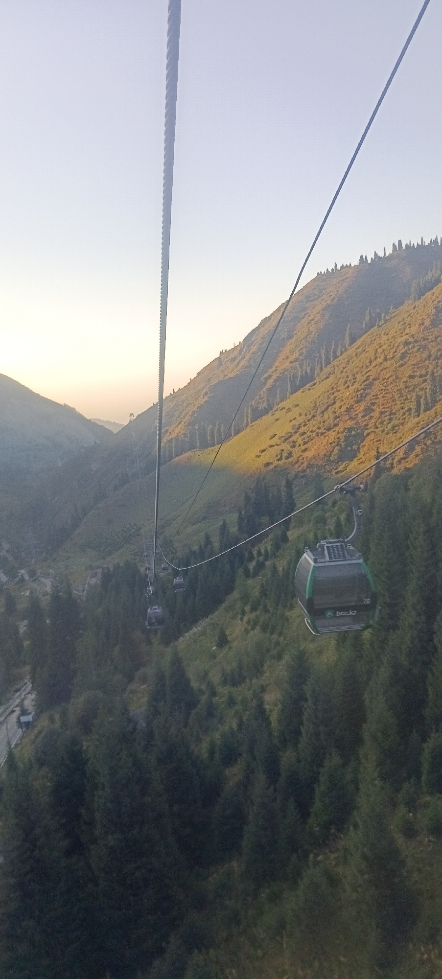 This is an exterior, eye-level, medium shot photograph taken from a moving cable car, looking down and across a mountainous valley in Almaty, Kazakhstan. The cable car is a modern, grey, and green gondola with the number 75 and the logo "bcc.kz" visible on its side. It is suspended from a thick, ribbed cable that runs diagonally across the sky and down towards the valley. Several other cable cars are visible in the distance, traversing the same cable system.
The environment is a lush, mountainous landscape characterized by steep, grassy slopes dotted with numerous evergreen trees, primarily conifers. The sunlight casts a warm, golden hue on the upper portions of the mountains, indicating it is likely morning or late afternoon. The sky is clear and a pale blue, fading to a lighter shade near the horizon. A road is partially visible in the lower left of the image, winding through the trees and along the base of the valley. The overall scene conveys a sense of travel and scenic beauty within a natural, mountainous setting.